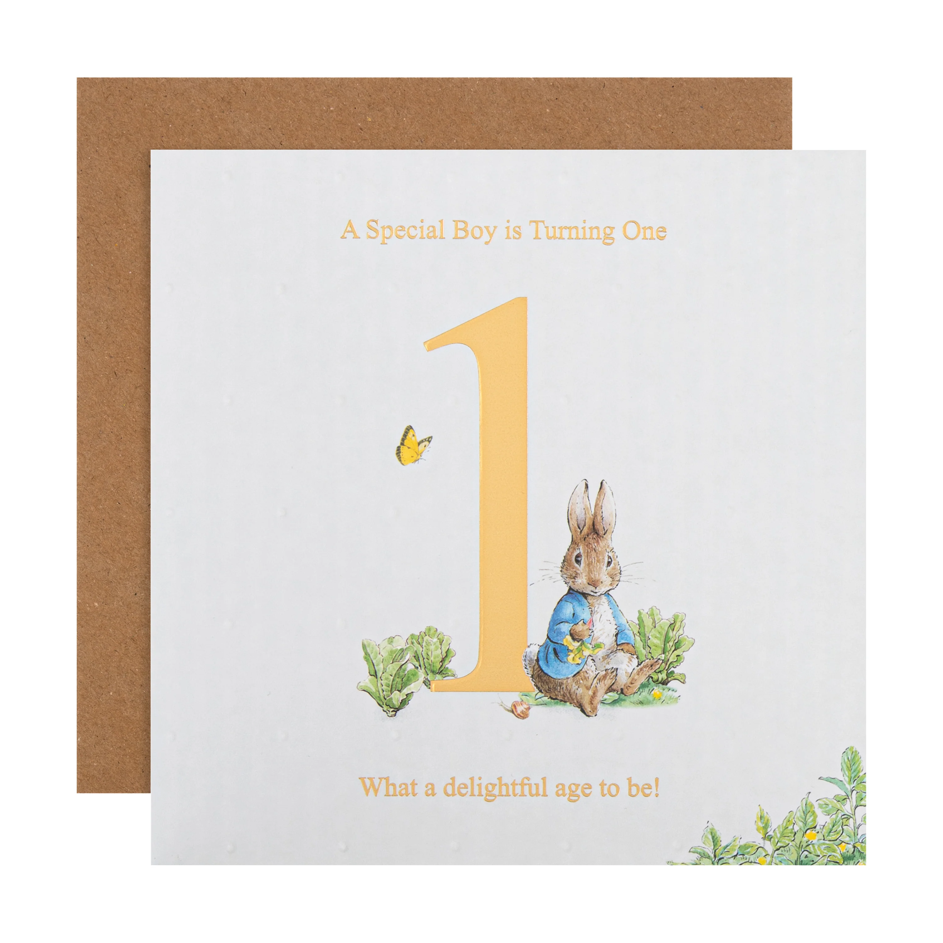 1st Birthday Card for Little Boy - Beatrix Potter's Peter Rabbit™ Design
