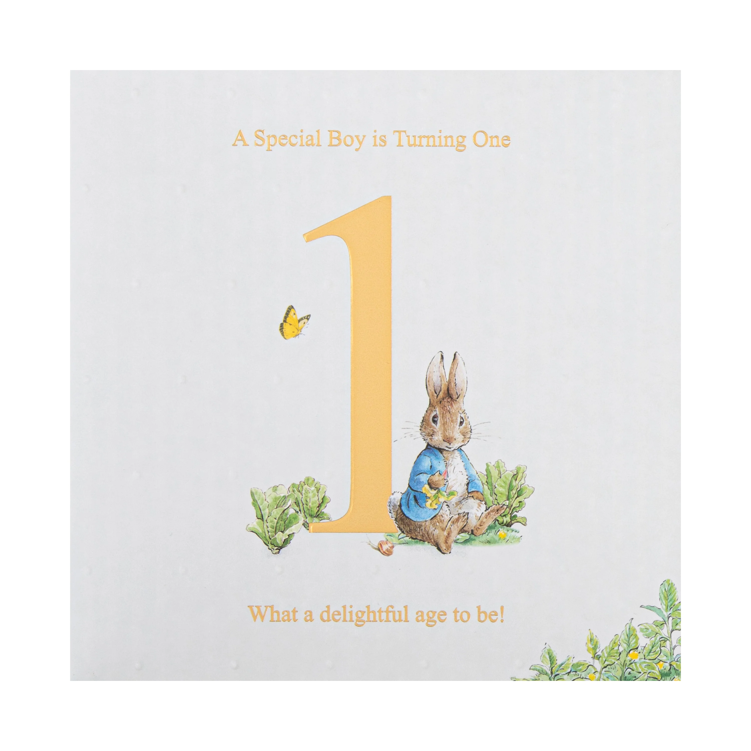 1st Birthday Card for Little Boy - Beatrix Potter's Peter Rabbit™ Design - Image 4