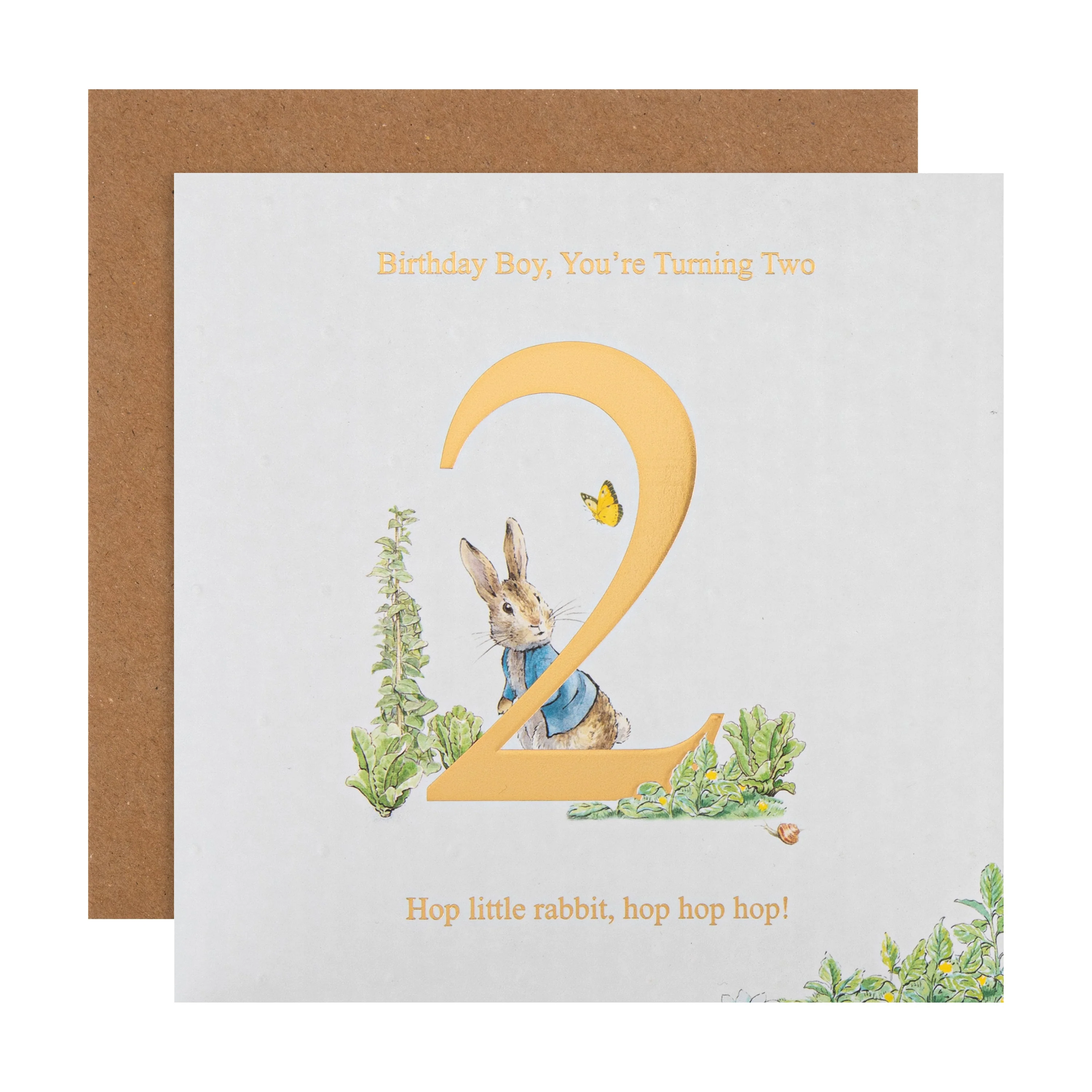 2nd Birthday Card for Little Boy - Beatrix Potter's Peter Rabbit™ Design