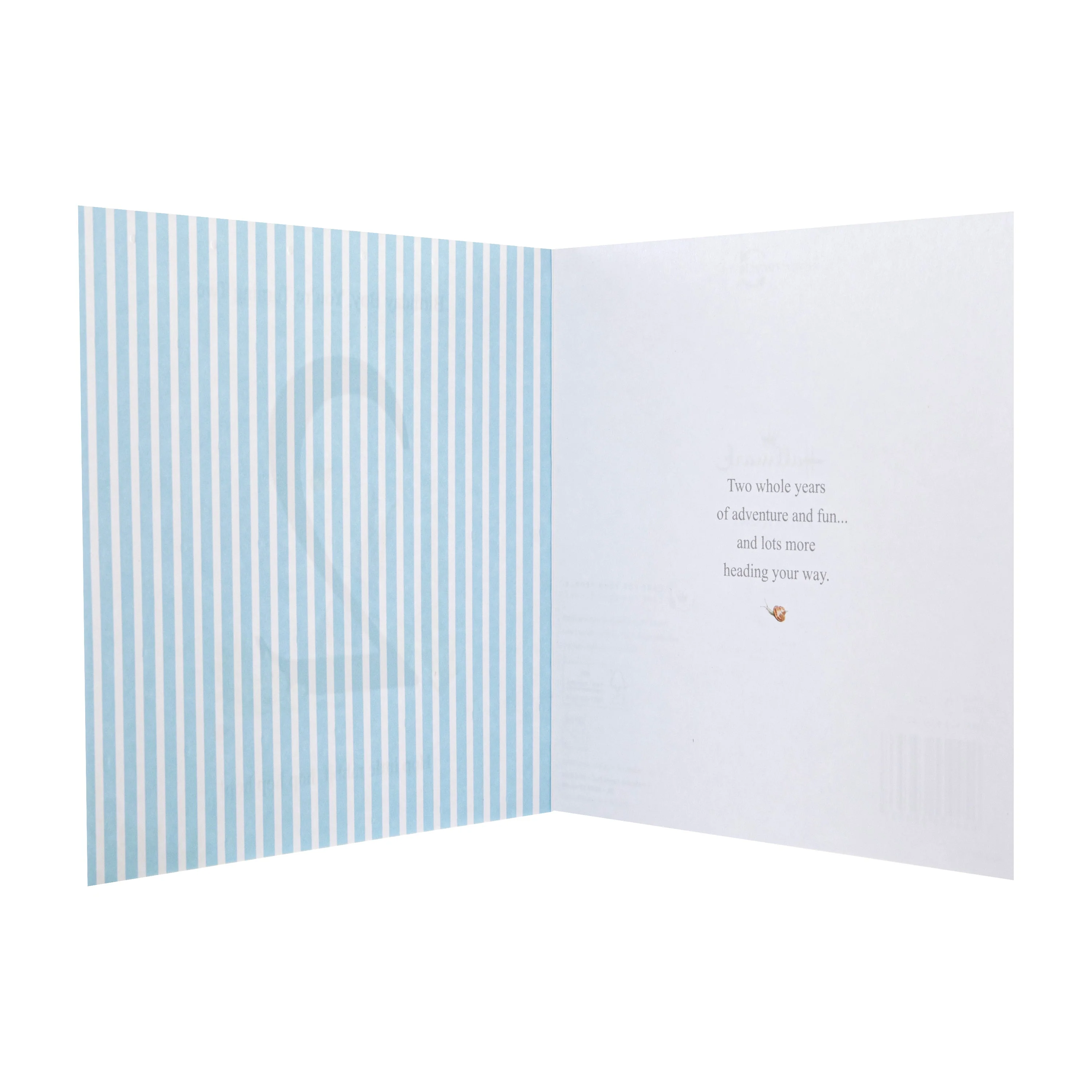 2nd Birthday Card for Little Boy - Beatrix Potter's Peter Rabbit™ Design - Image 2