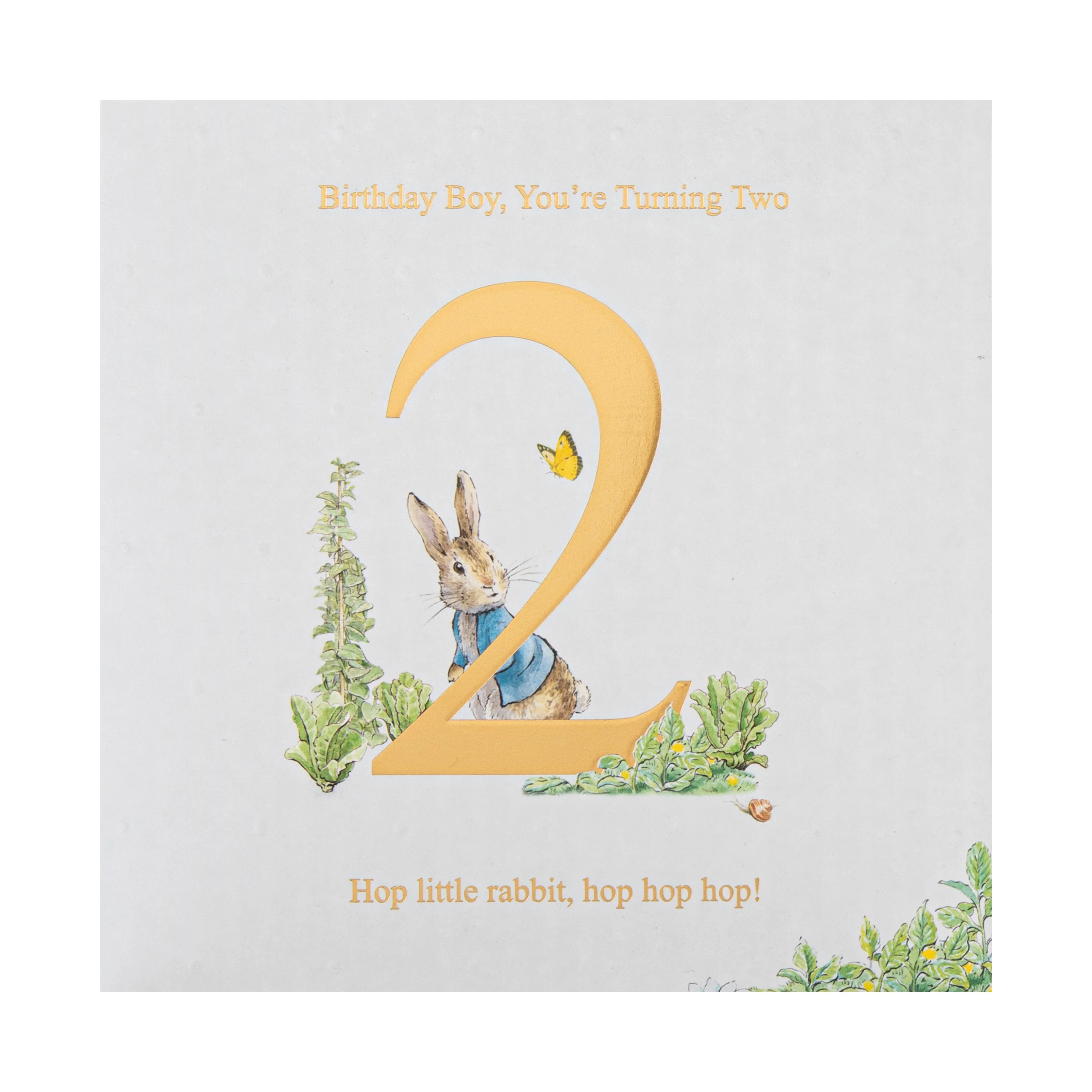 2nd Birthday Card for Little Boy - Beatrix Potter's Peter Rabbit™ Design - Image 4