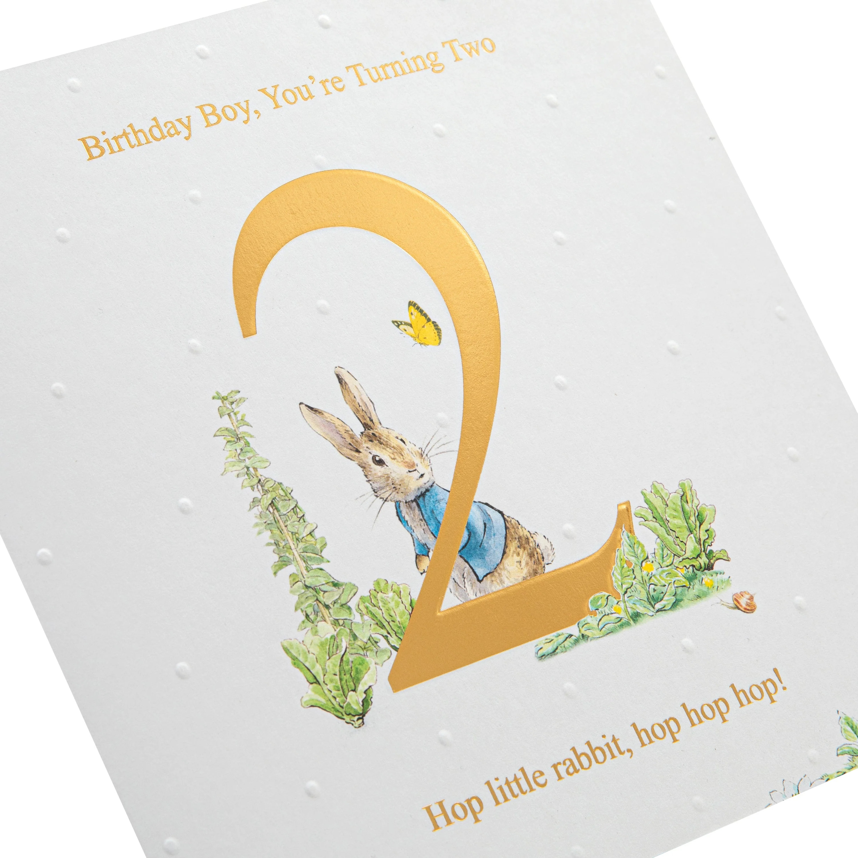 2nd Birthday Card for Little Boy - Beatrix Potter's Peter Rabbit™ Design - Image 5