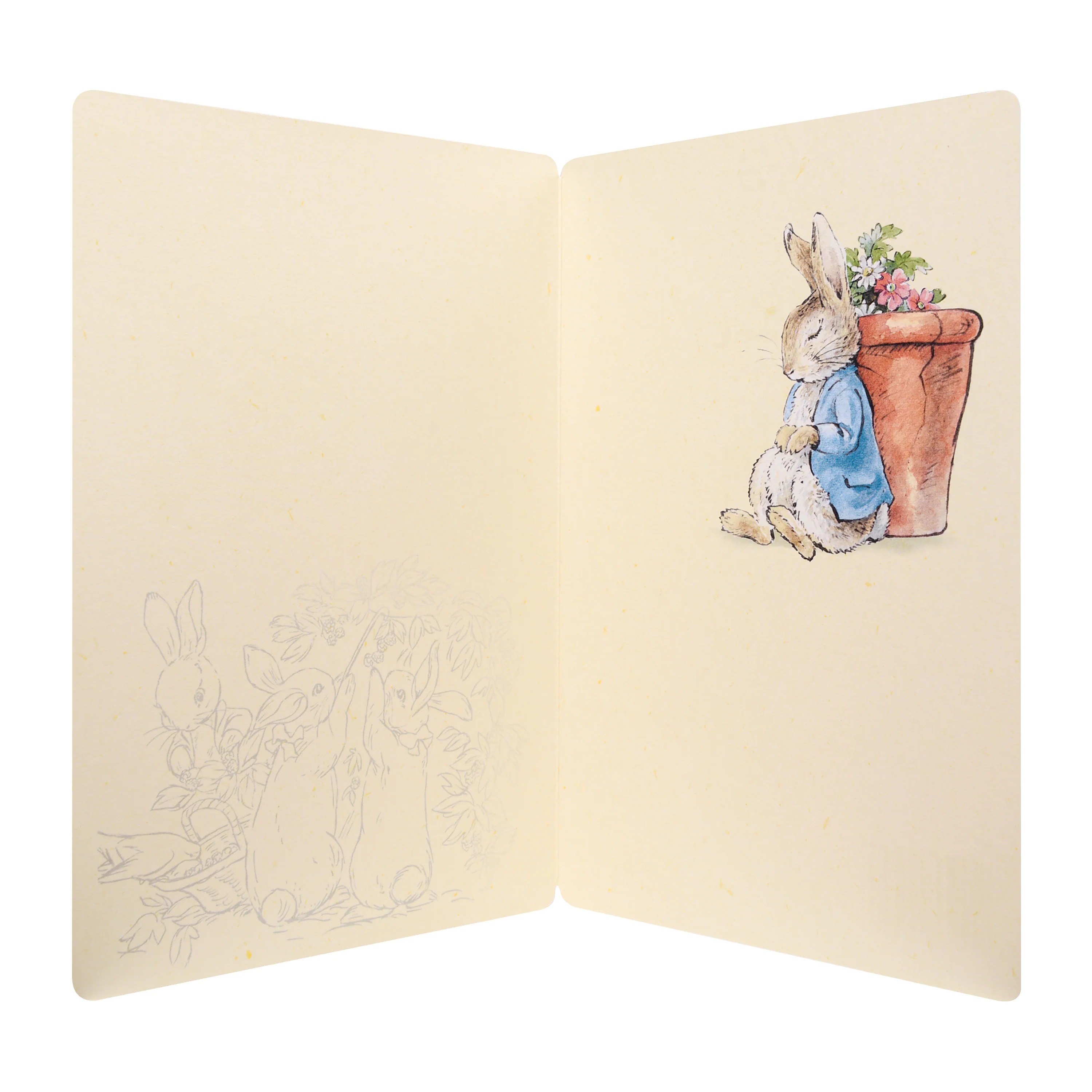 Any Occasion Blank Card - Illustrated Peter Rabbit™ Design - Image 2