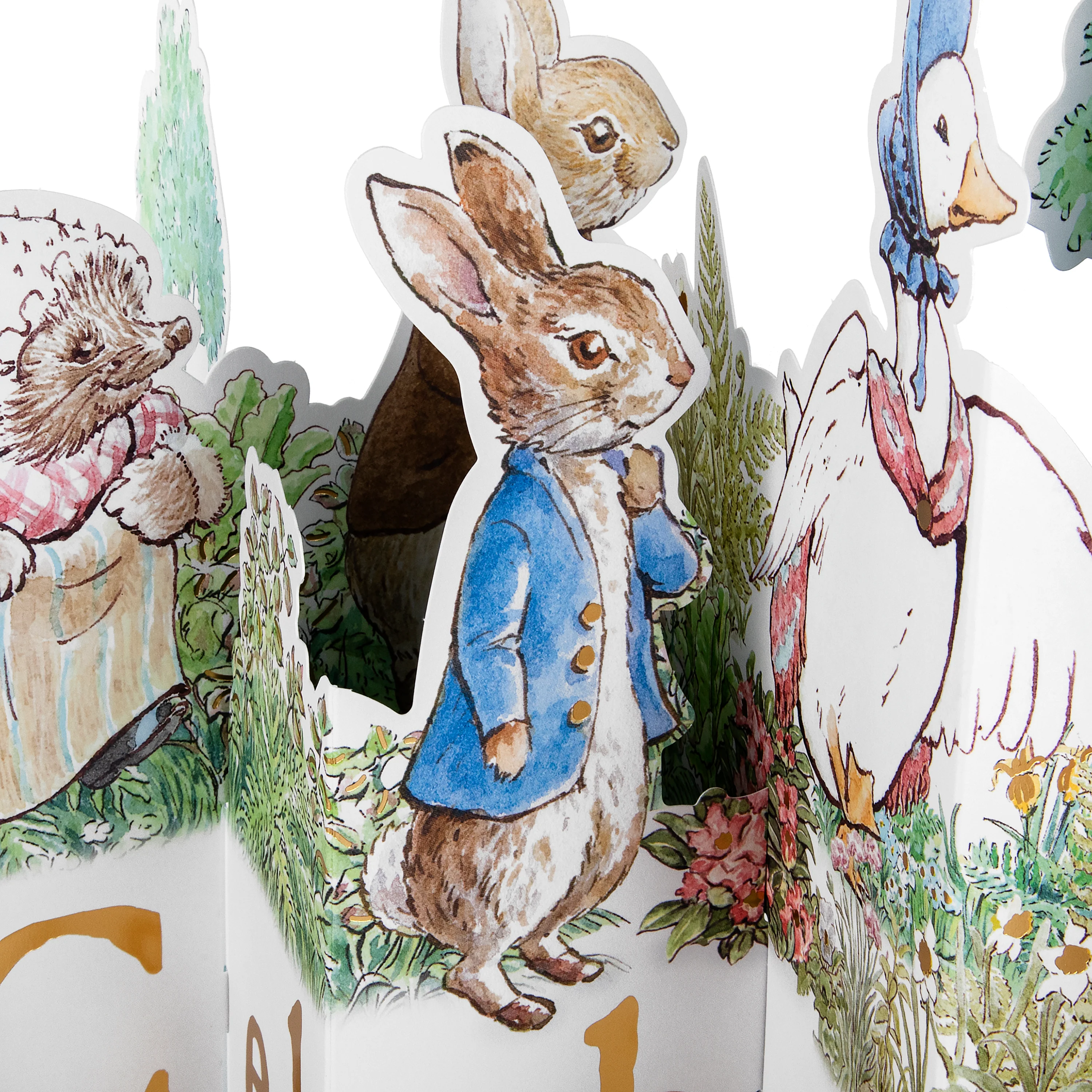 Any Occasion Card - 3D & Pop Up Beatrix Potter Peter Rabbit™ Design - Image 5