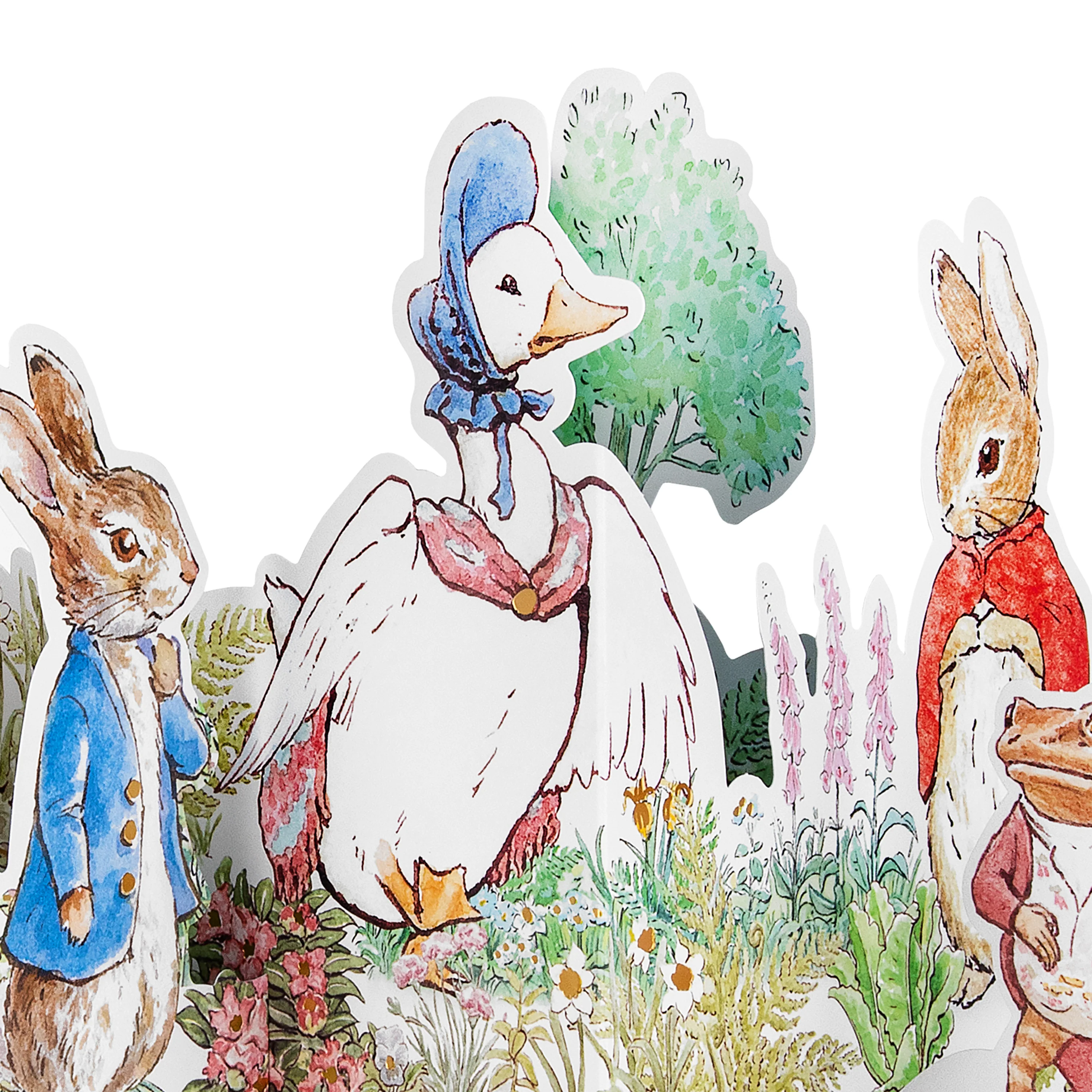 Any Occasion Card - 3D & Pop Up Beatrix Potter Peter Rabbit™ Design - Image 6