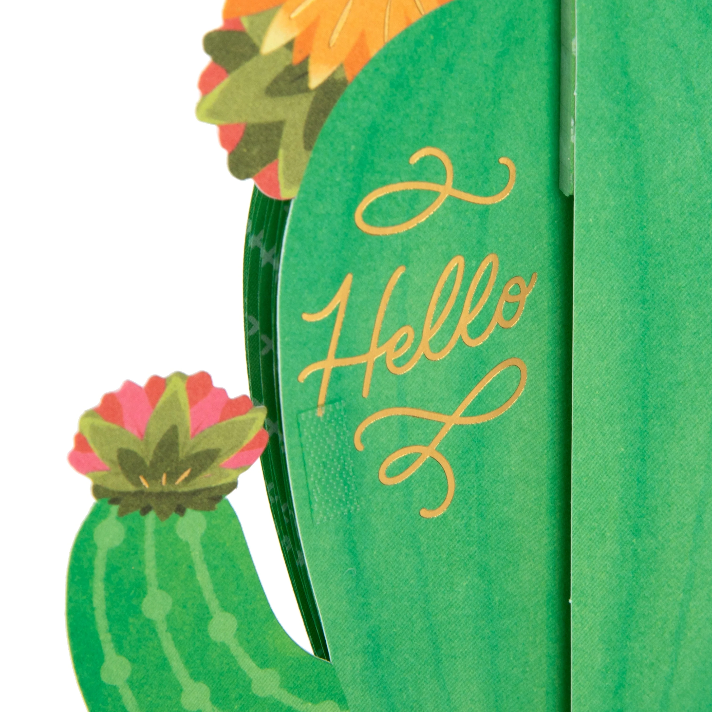 Any Occasion Card - 3D & Pop-Up Honeycomb Cactus Design - Image 3