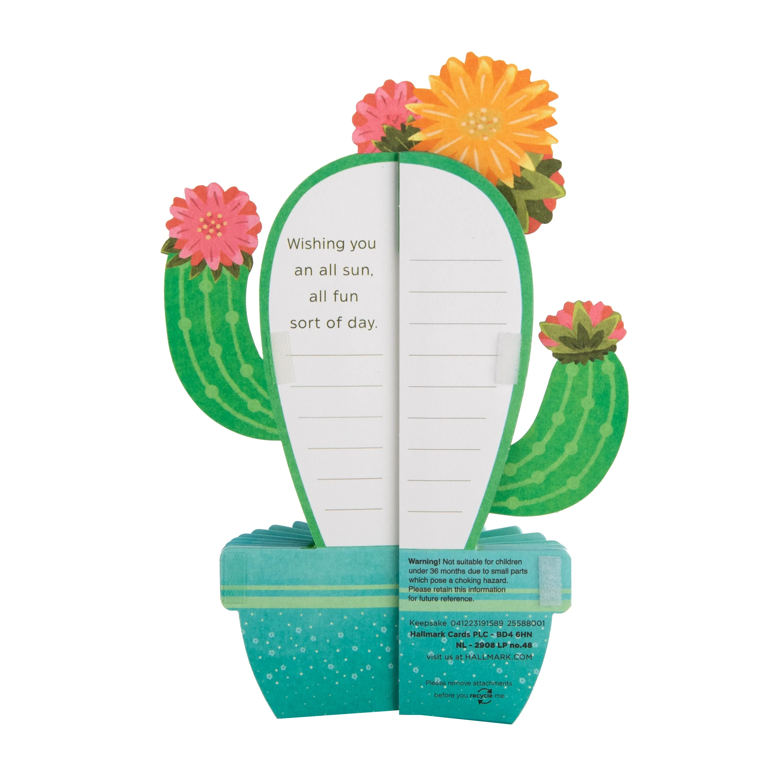 Any Occasion Card - 3D & Pop-Up Honeycomb Cactus Design - Image 4
