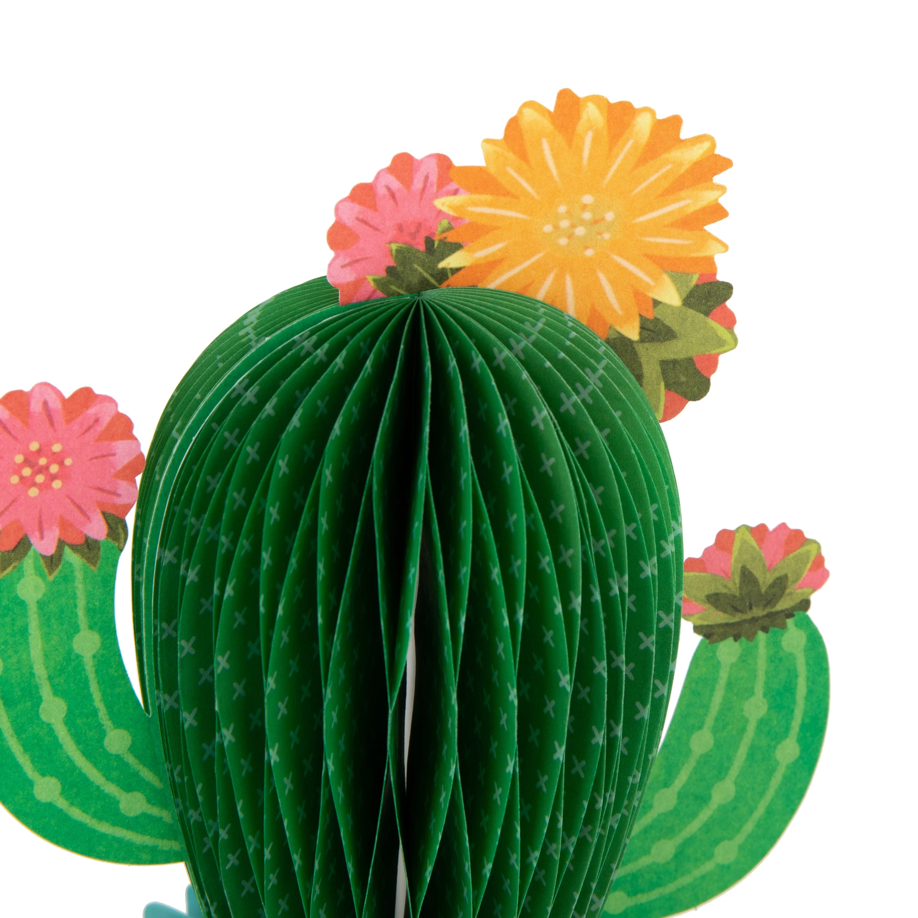 Any Occasion Card - 3D & Pop-Up Honeycomb Cactus Design - Image 7