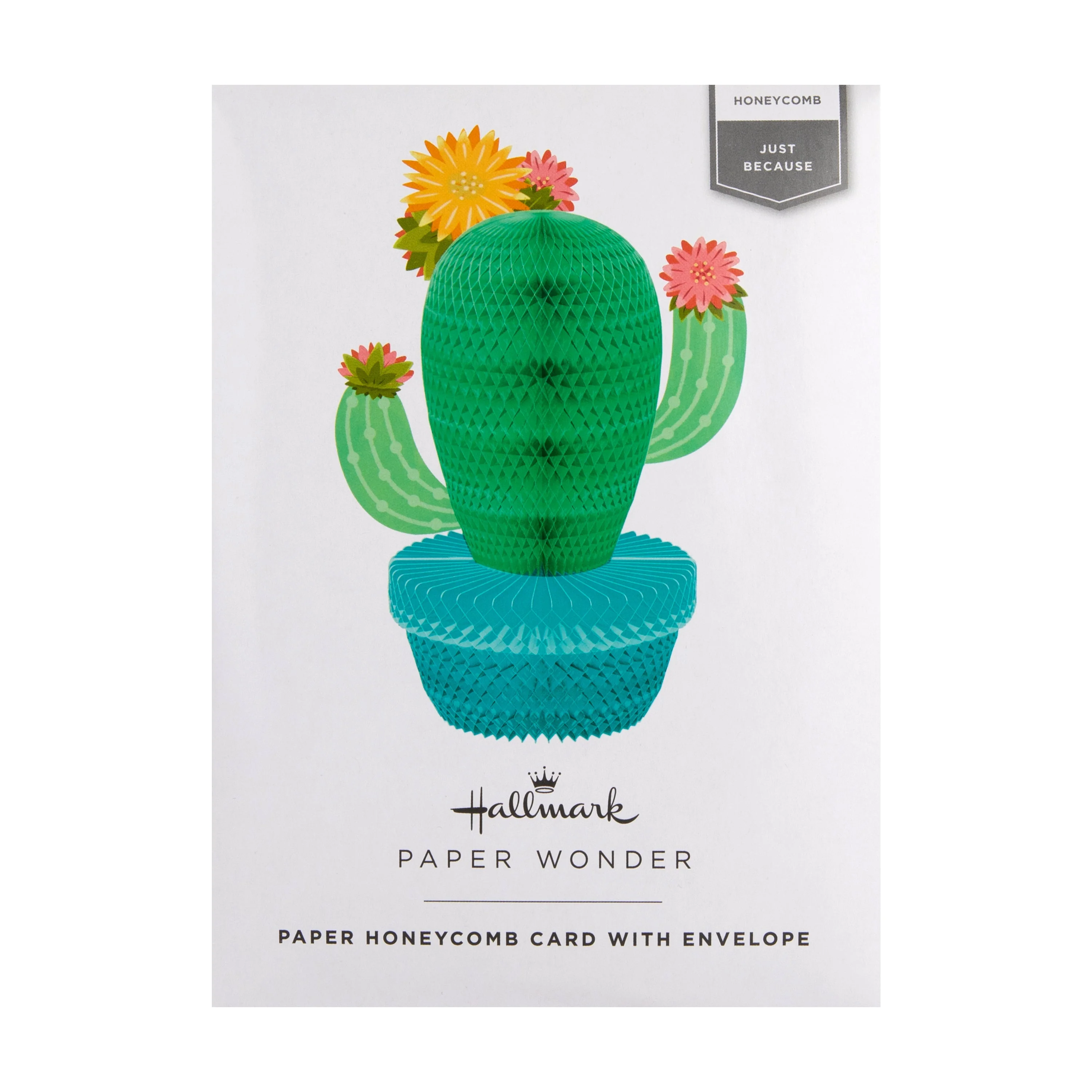 Any Occasion Card - 3D & Pop-Up Honeycomb Cactus Design - Image 8
