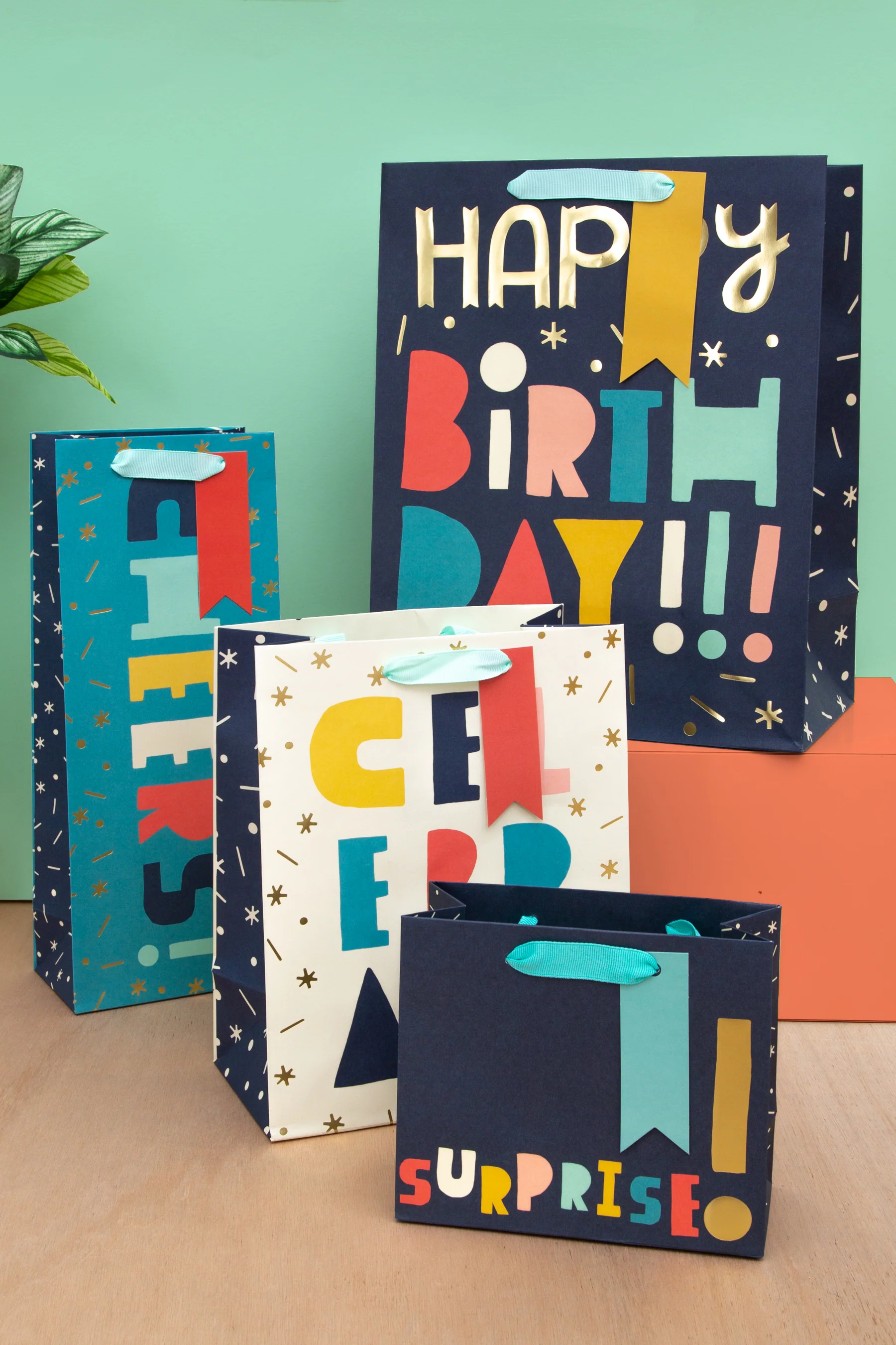 Any Occasion Gift Bag Pack - 4 Bags in 4 Jazzy Designs - Image 8