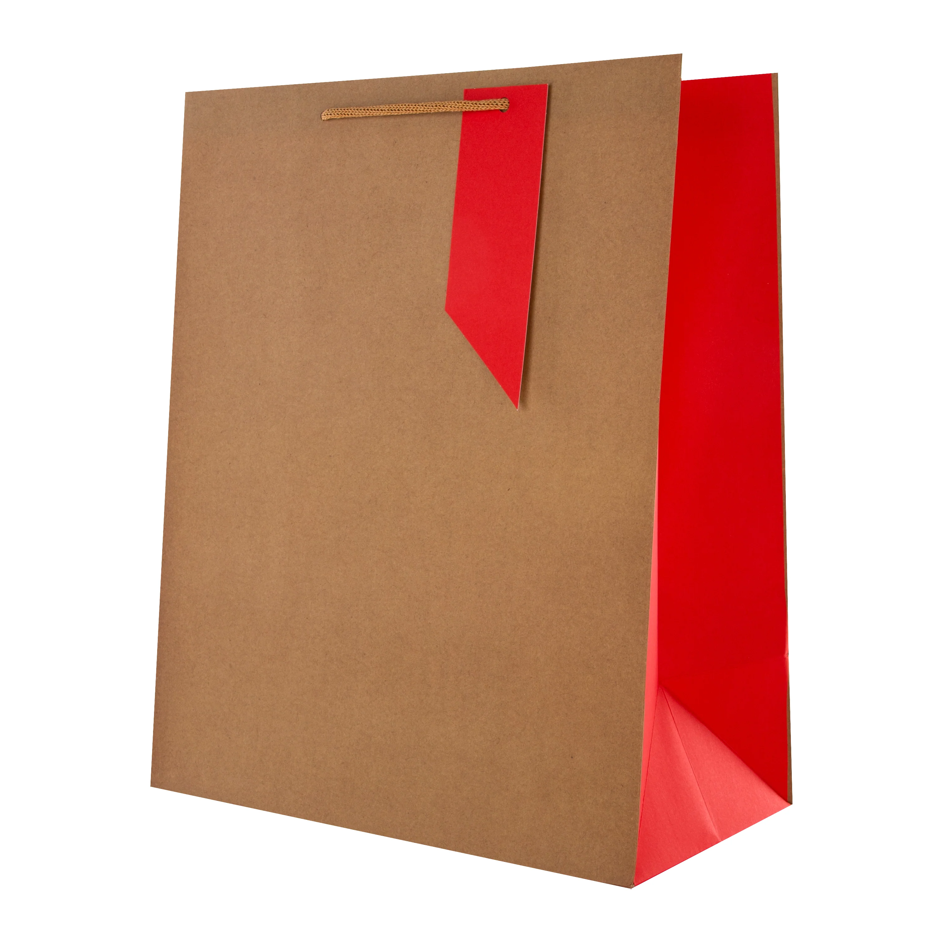 Any Occasion Gift Bag Pack - 4 Bags in 4 Neon, Brown Kraft Designs - Image 4