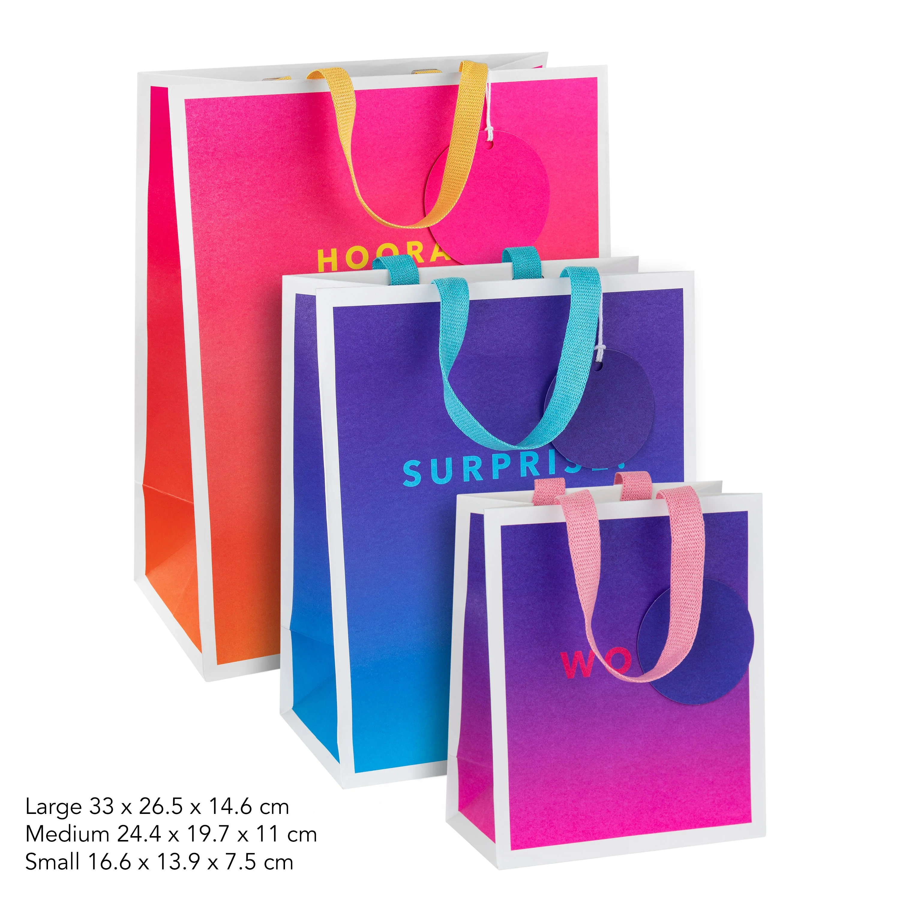 Any Occasion Gift Bags - 3 Pack in 3 Sizes and 3 Vibrant Designs - Image 3