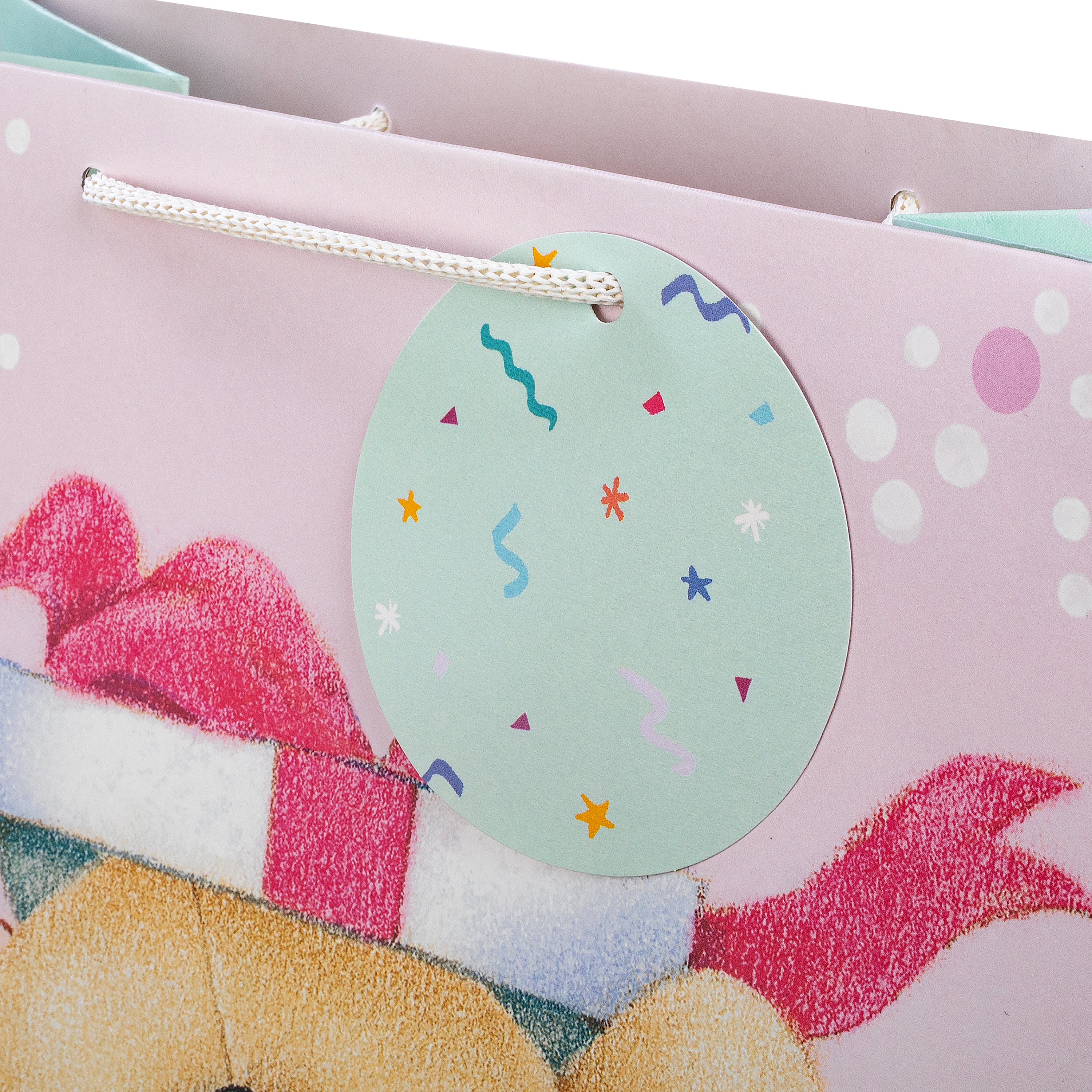 Any Occasion Gift Bags - 4 Pack in 4 Sizes & 4 Forever Friends Designs - Image 5