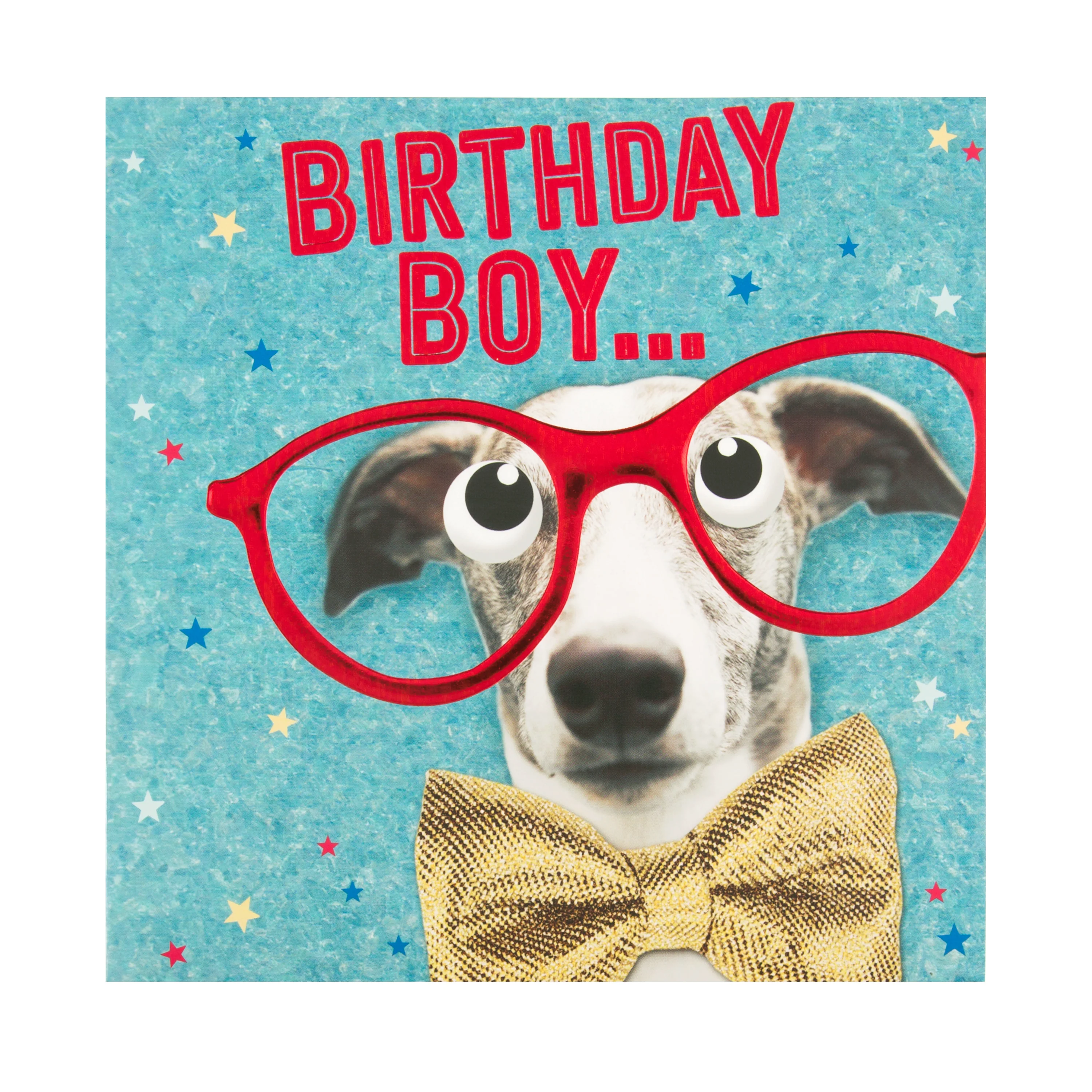 Birthday Boy Card - Funny Photographic Design - Image 3