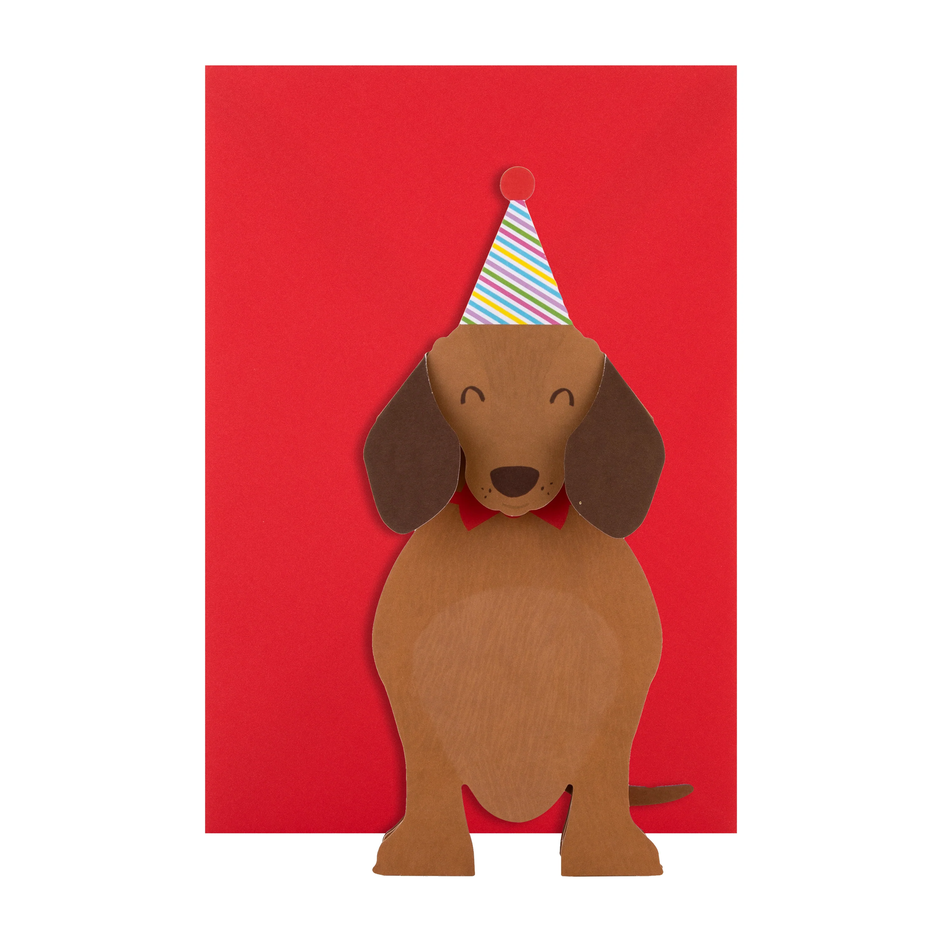 Birthday Card - 3D Pop-Up Sausage Dog Design - Image 4