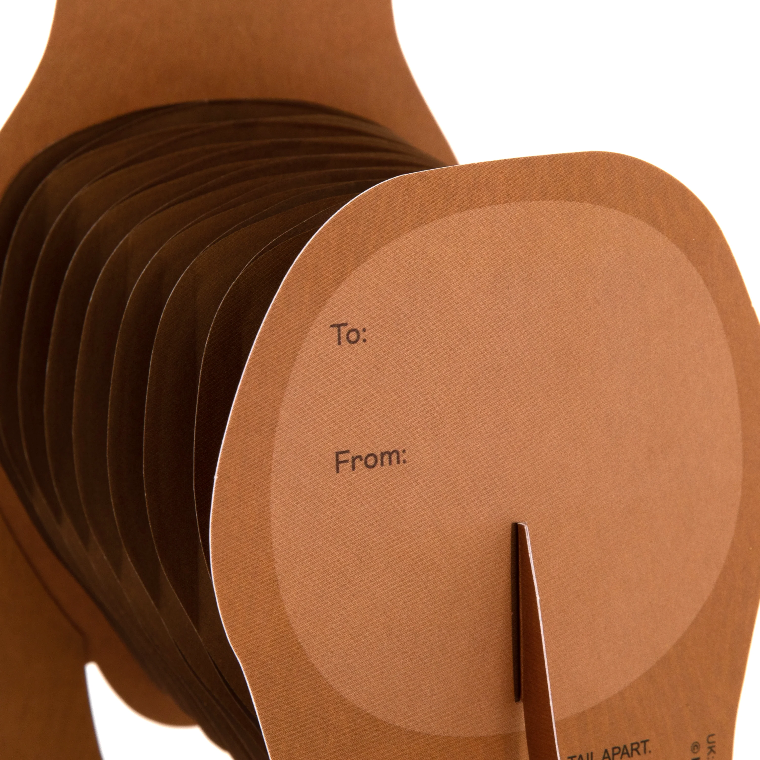 Birthday Card - 3D Pop-Up Sausage Dog Design - Image 6