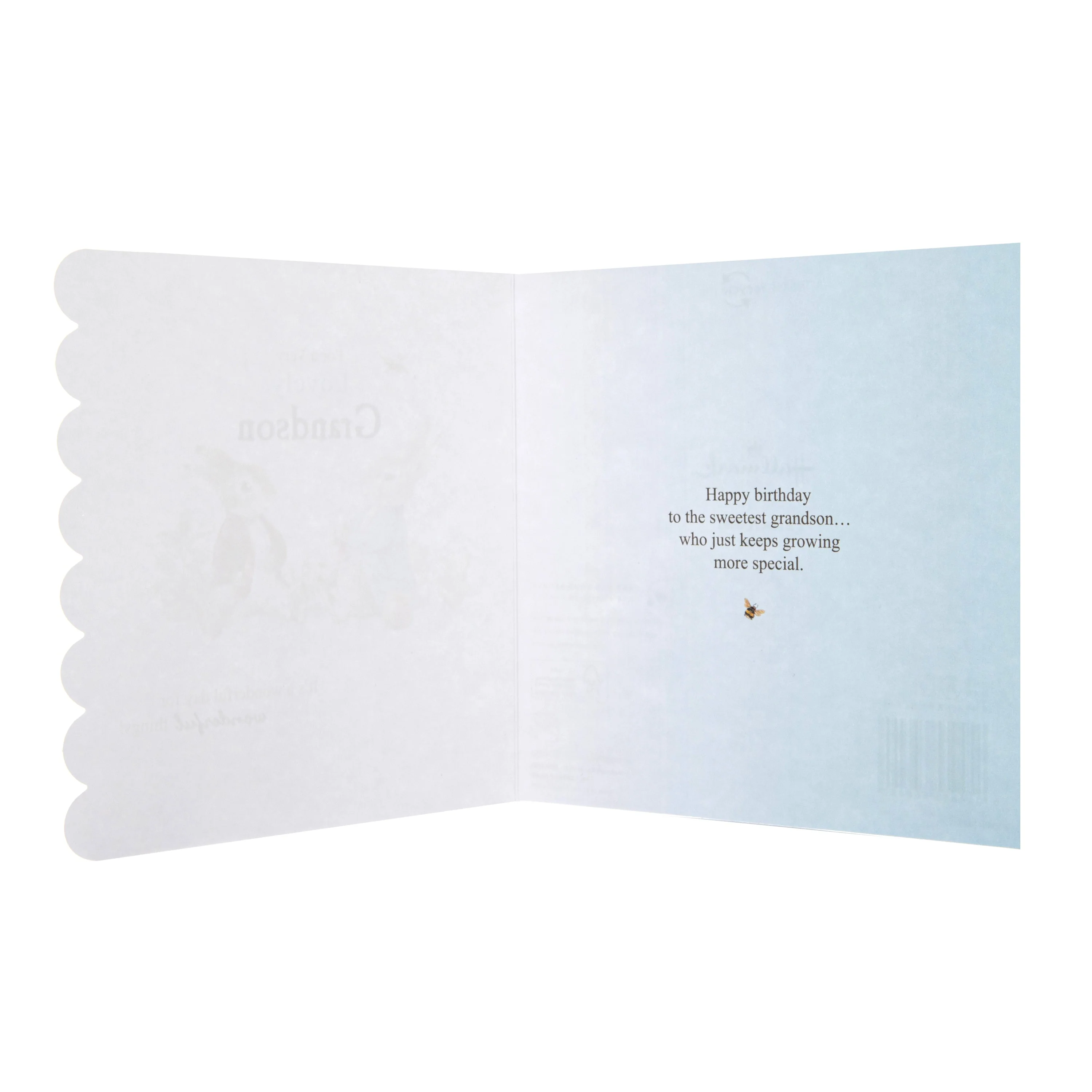 Birthday Card for Grandson - Beatrix Potter Peter Rabbit™ Design - Image 2