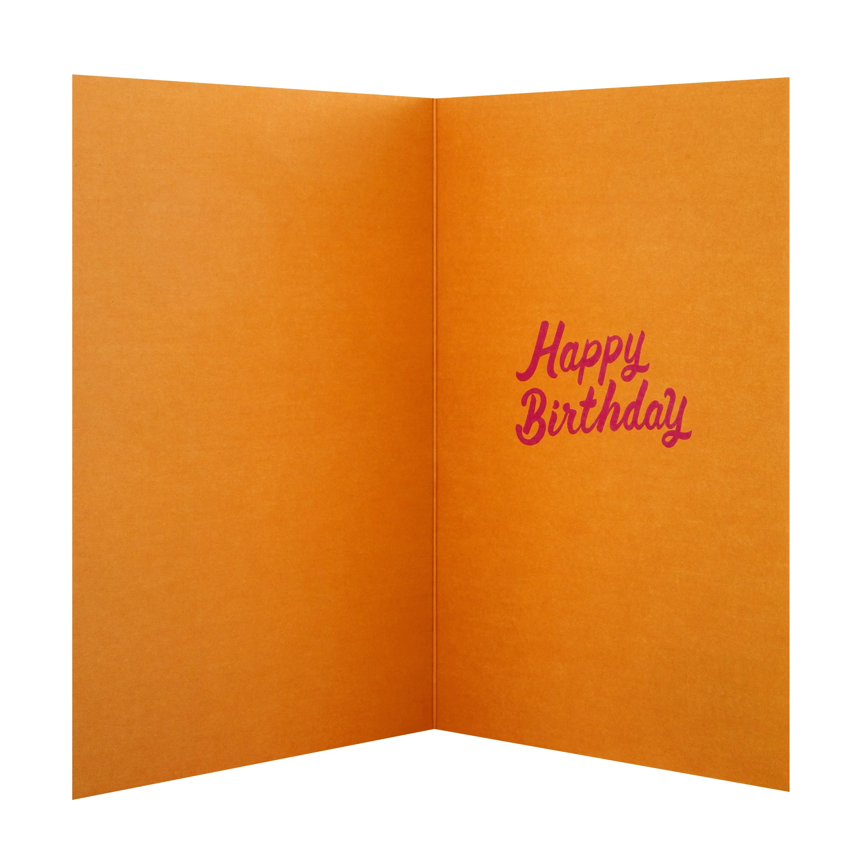 Birthday Card for Someone Special - Classic 'good mail' Collection Floral Design - Image 2