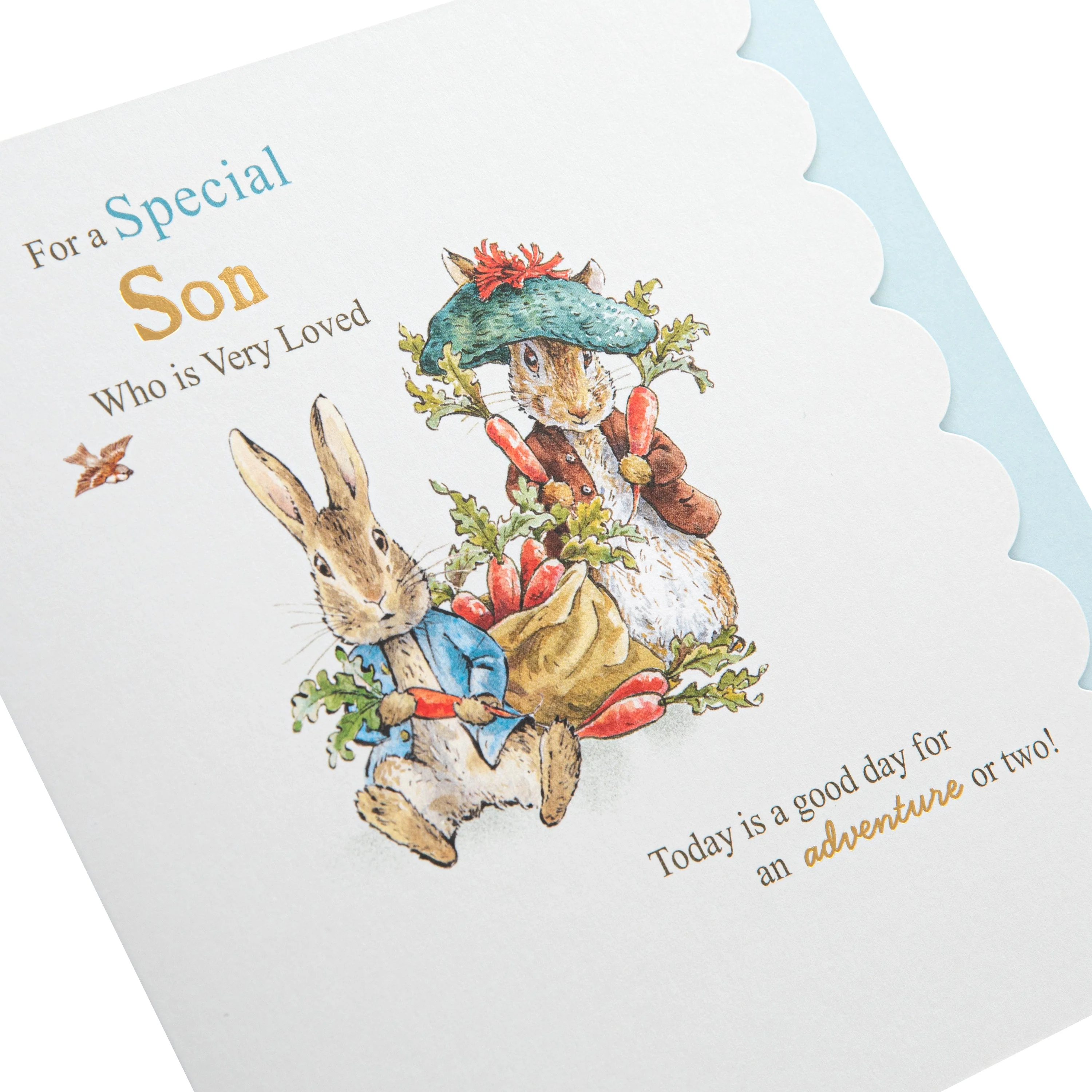 Birthday Card for Son - Beatrix Potter Peter Rabbit™ Design - Image 5