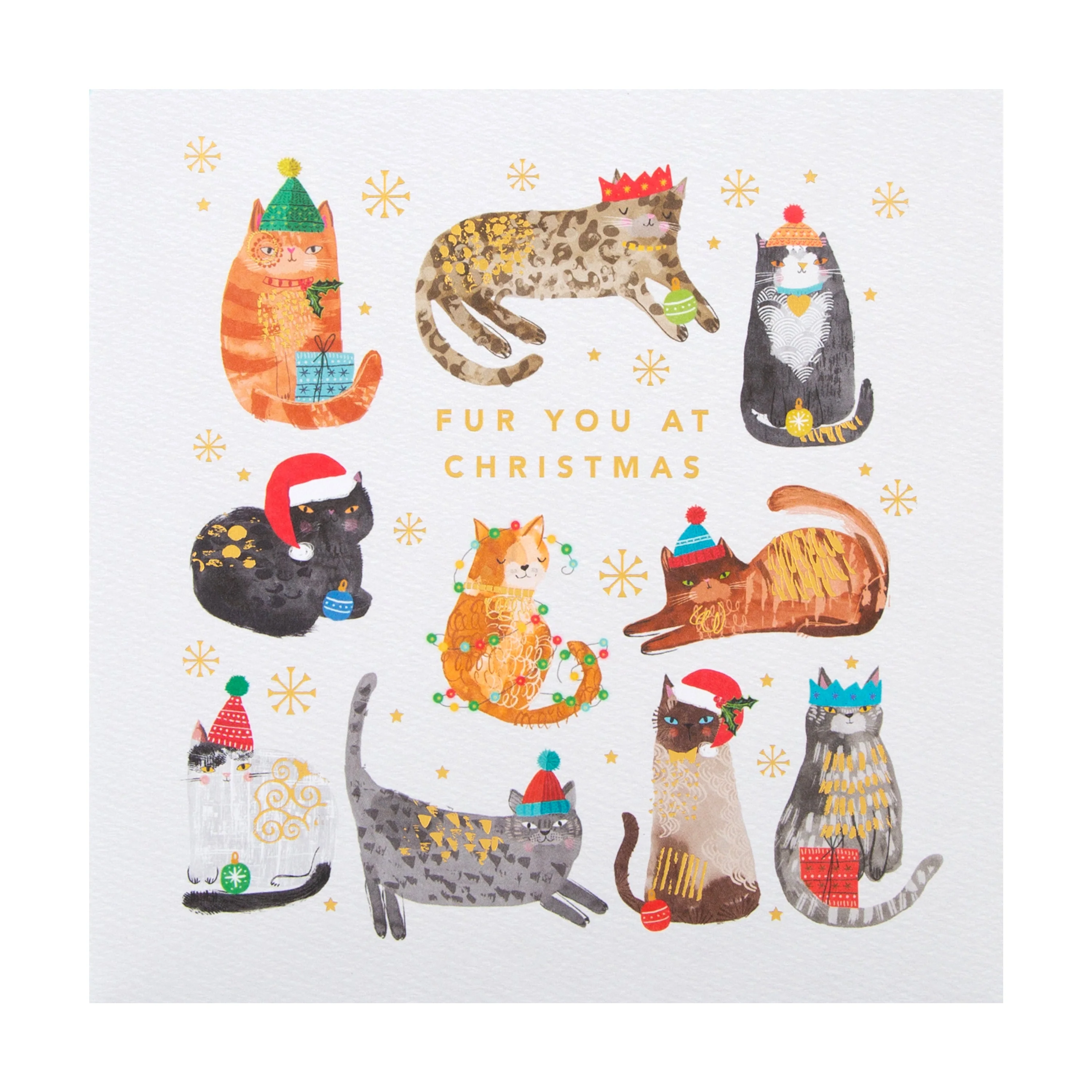 Christmas Card - Classic Festive Cats Design - Image 5