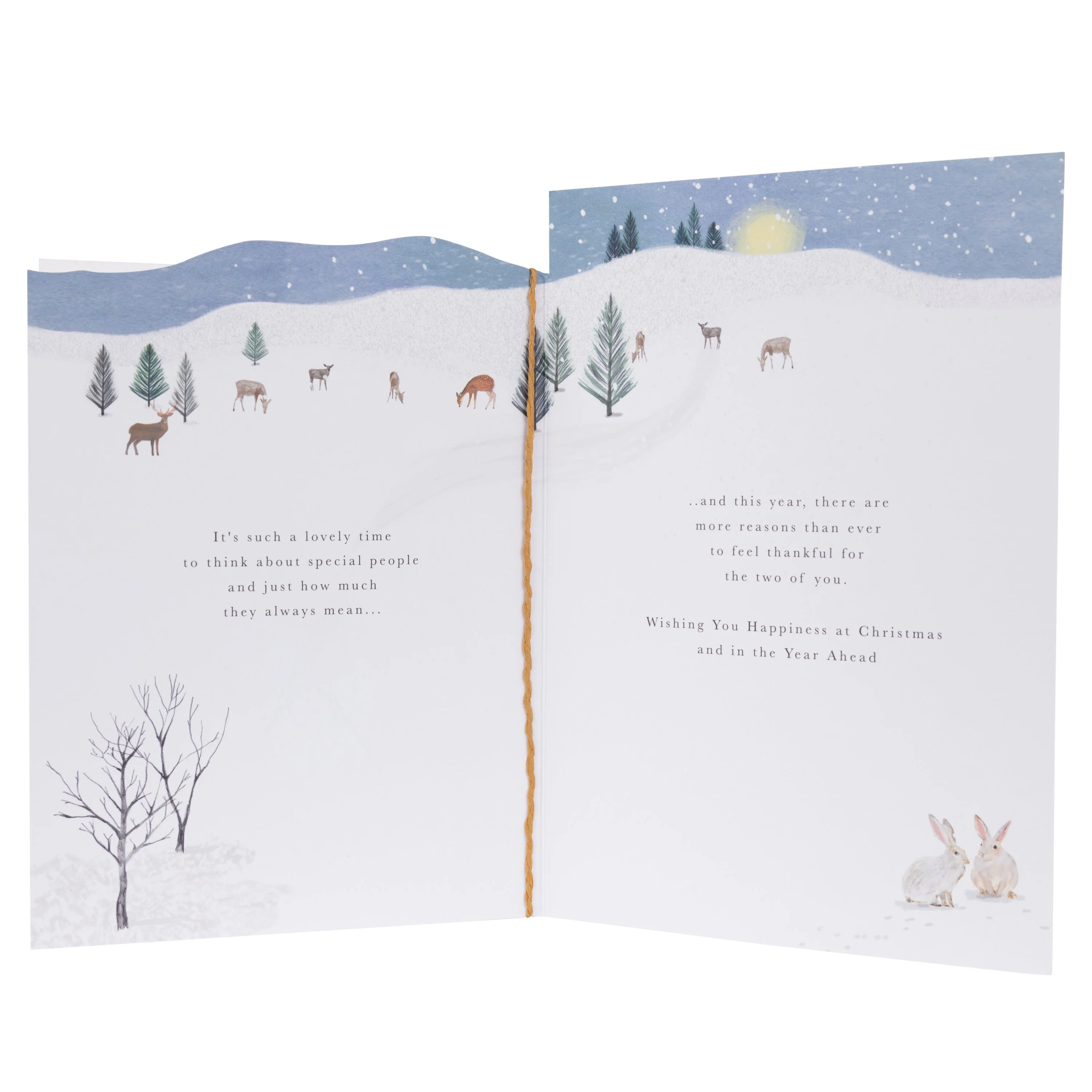 Christmas Card for a Special Couple - Die-cut Illustrated Winter Scene Design - Image 2