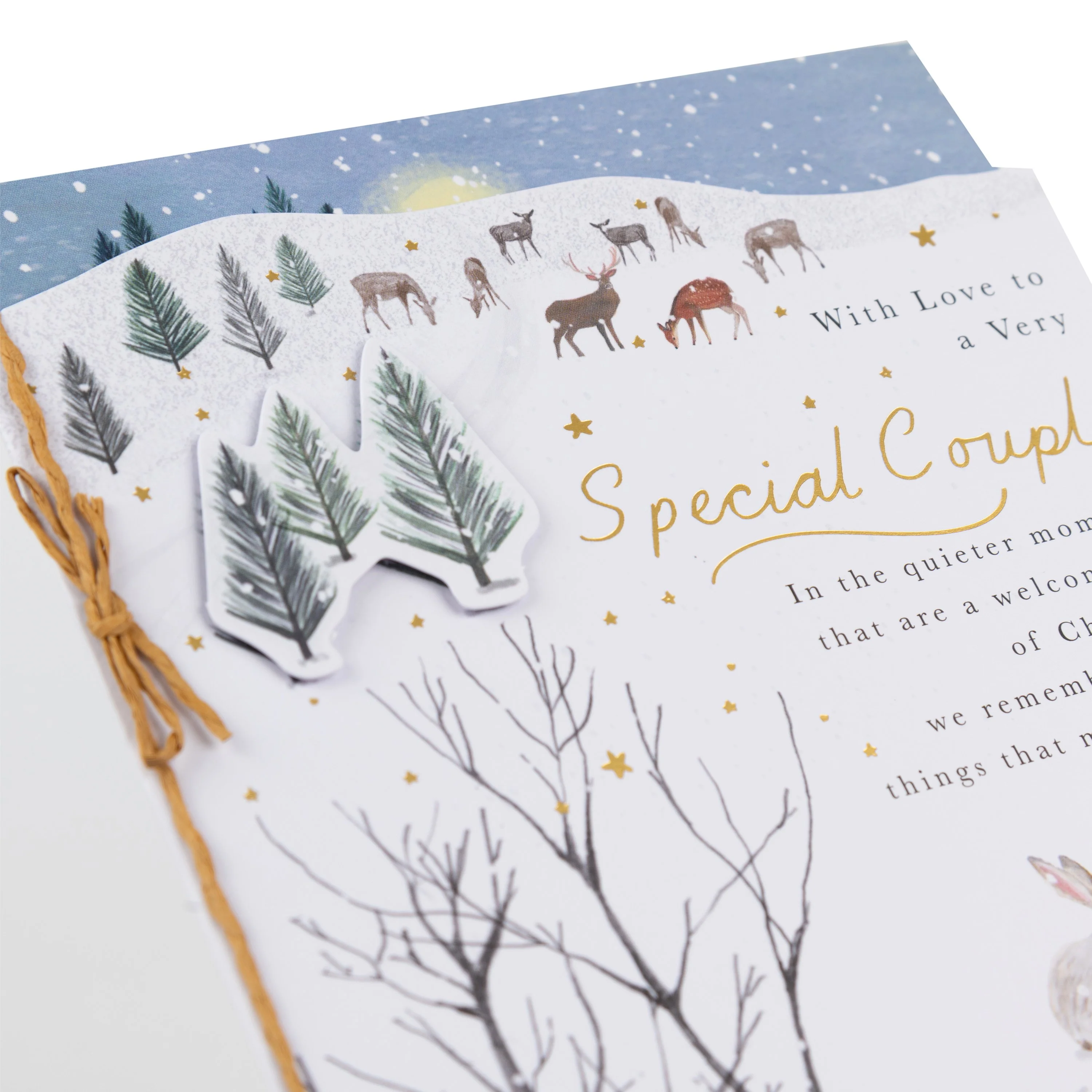 Christmas Card for a Special Couple - Die-cut Illustrated Winter Scene Design - Image 3