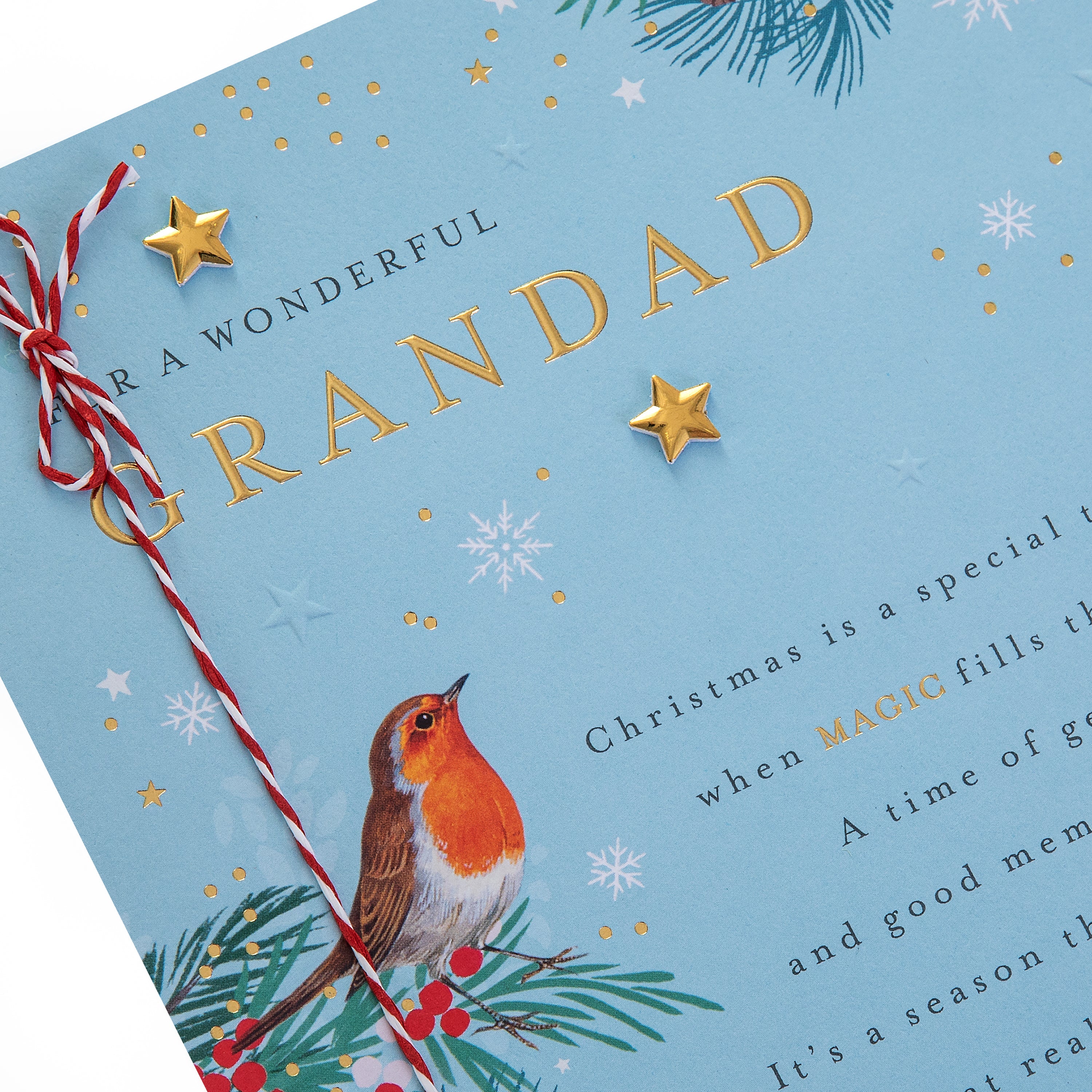 Christmas Card for Grandad - Traditional Illustrated Winter Forest Scene - Image 13