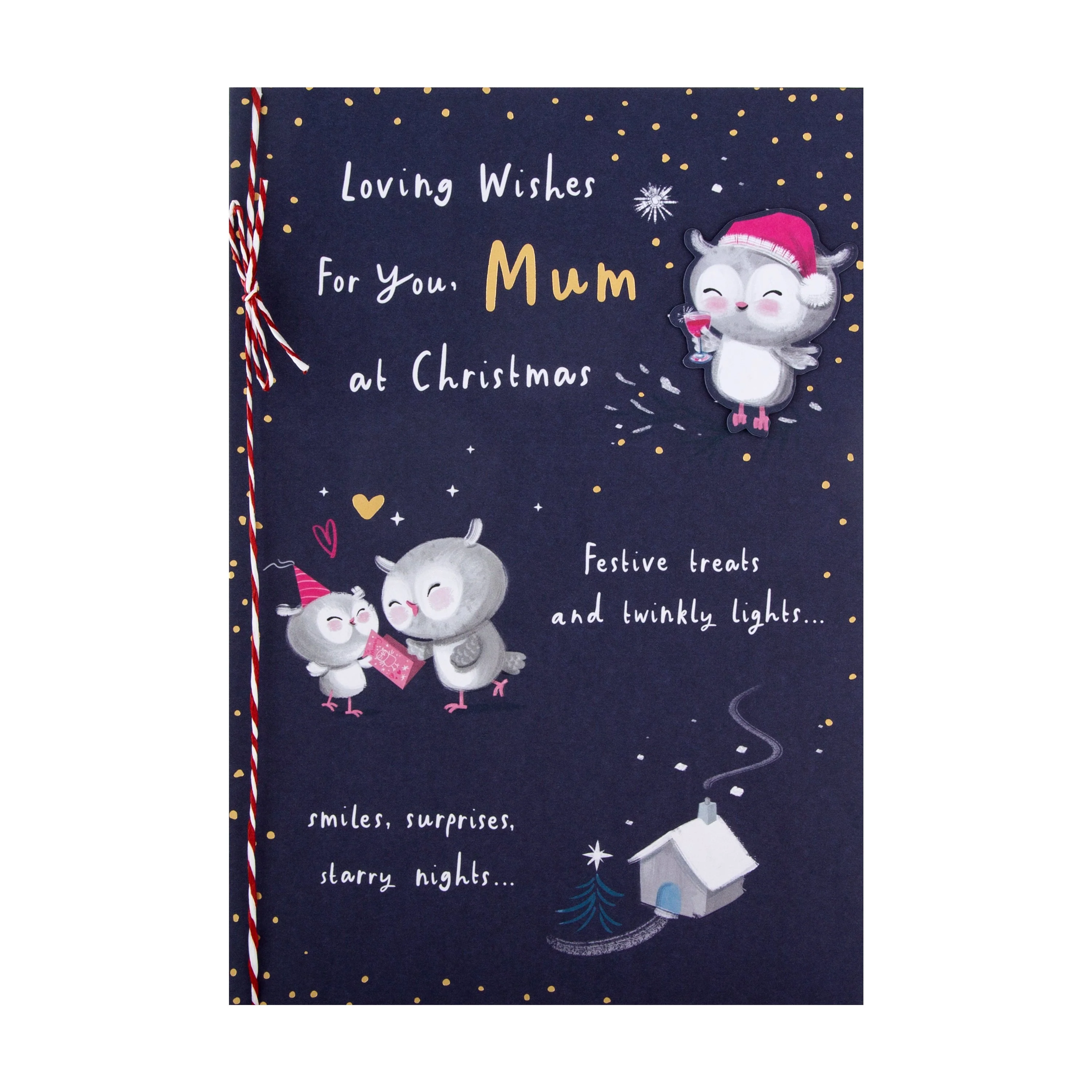 Christmas Card for Mum - Cute Illustrated Owls Design - Image 3