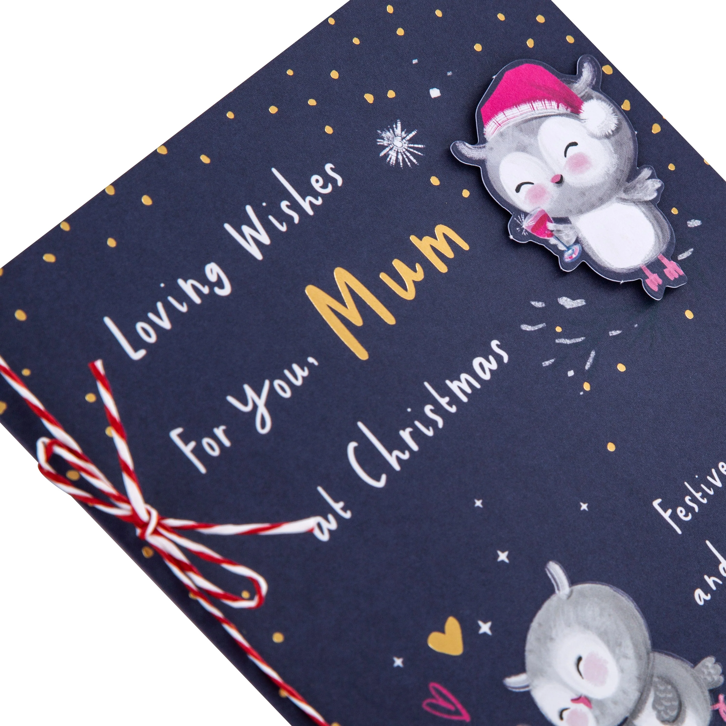 Christmas Card for Mum - Cute Illustrated Owls Design - Image 4