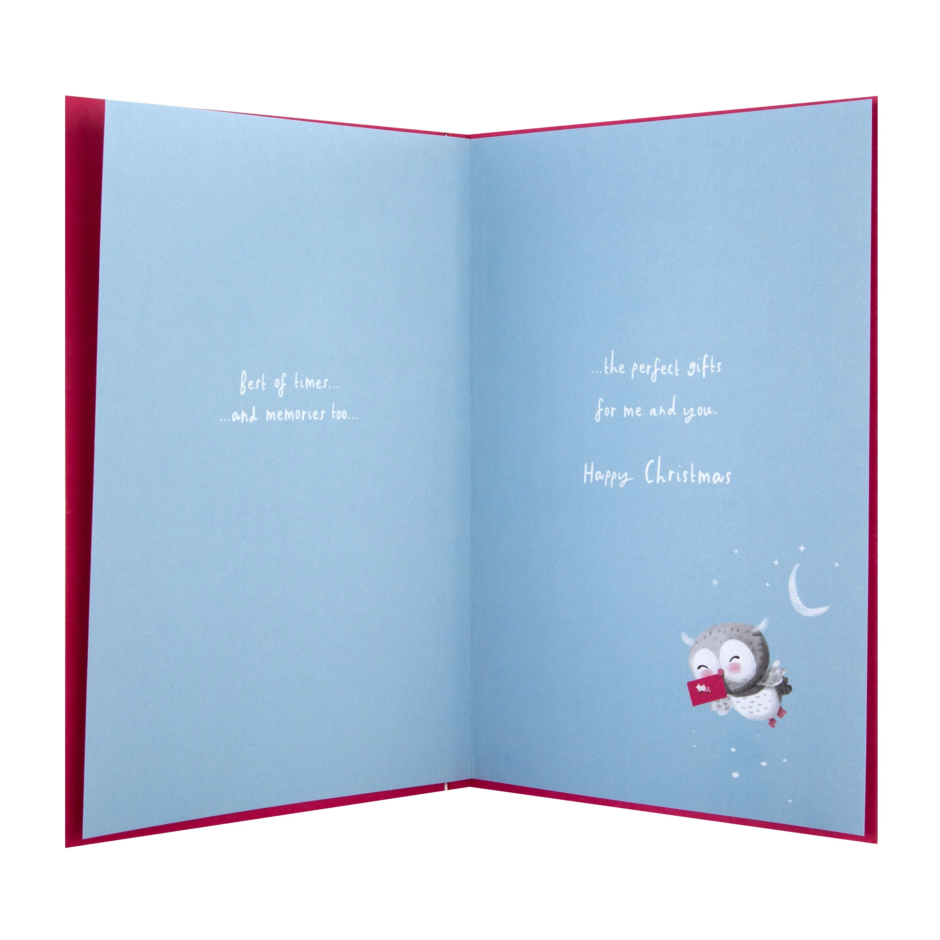 Christmas Card for Wife  - Cute Illustrated Owls Design - Image 2