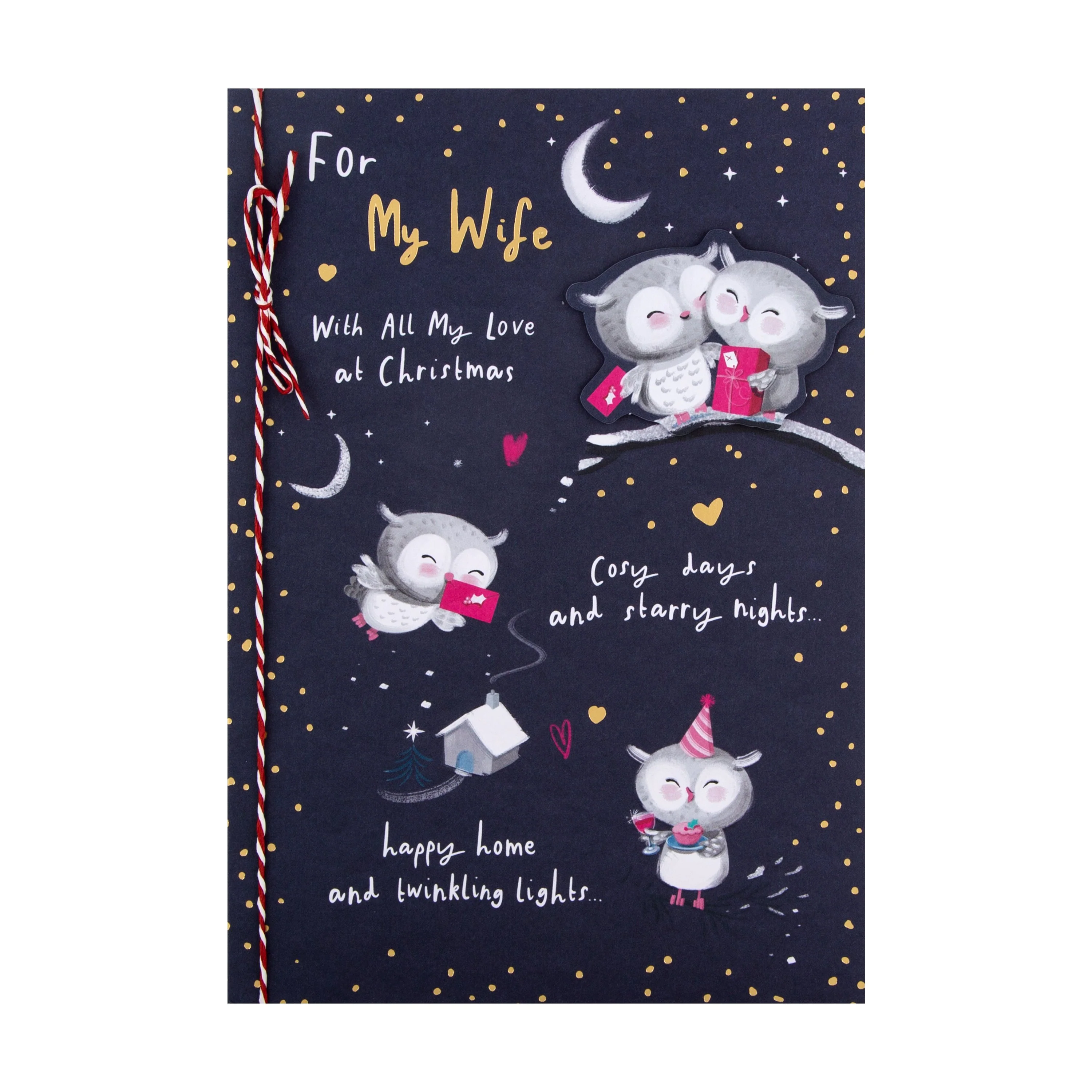 Christmas Card for Wife  - Cute Illustrated Owls Design - Image 3