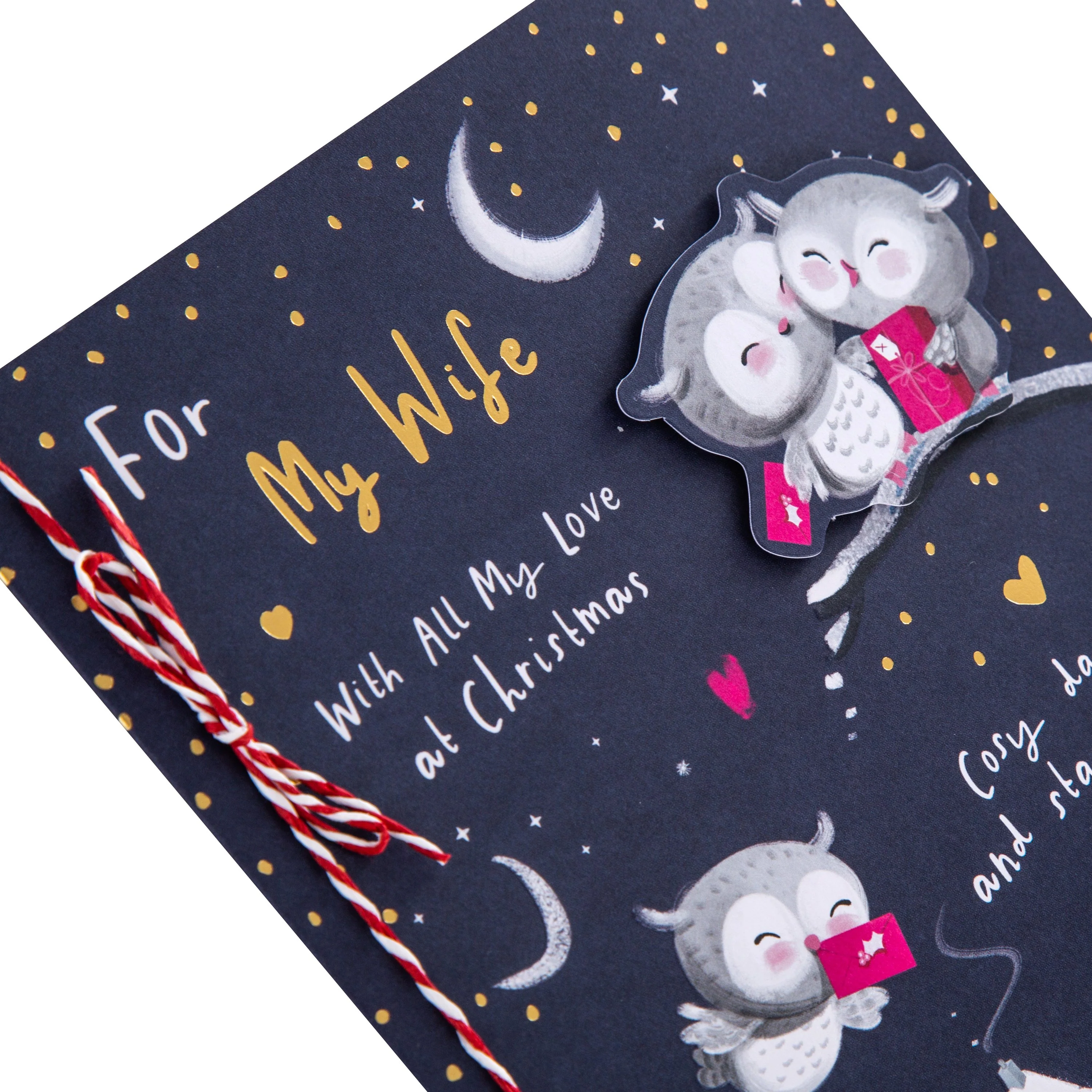 Christmas Card for Wife  - Cute Illustrated Owls Design - Image 4