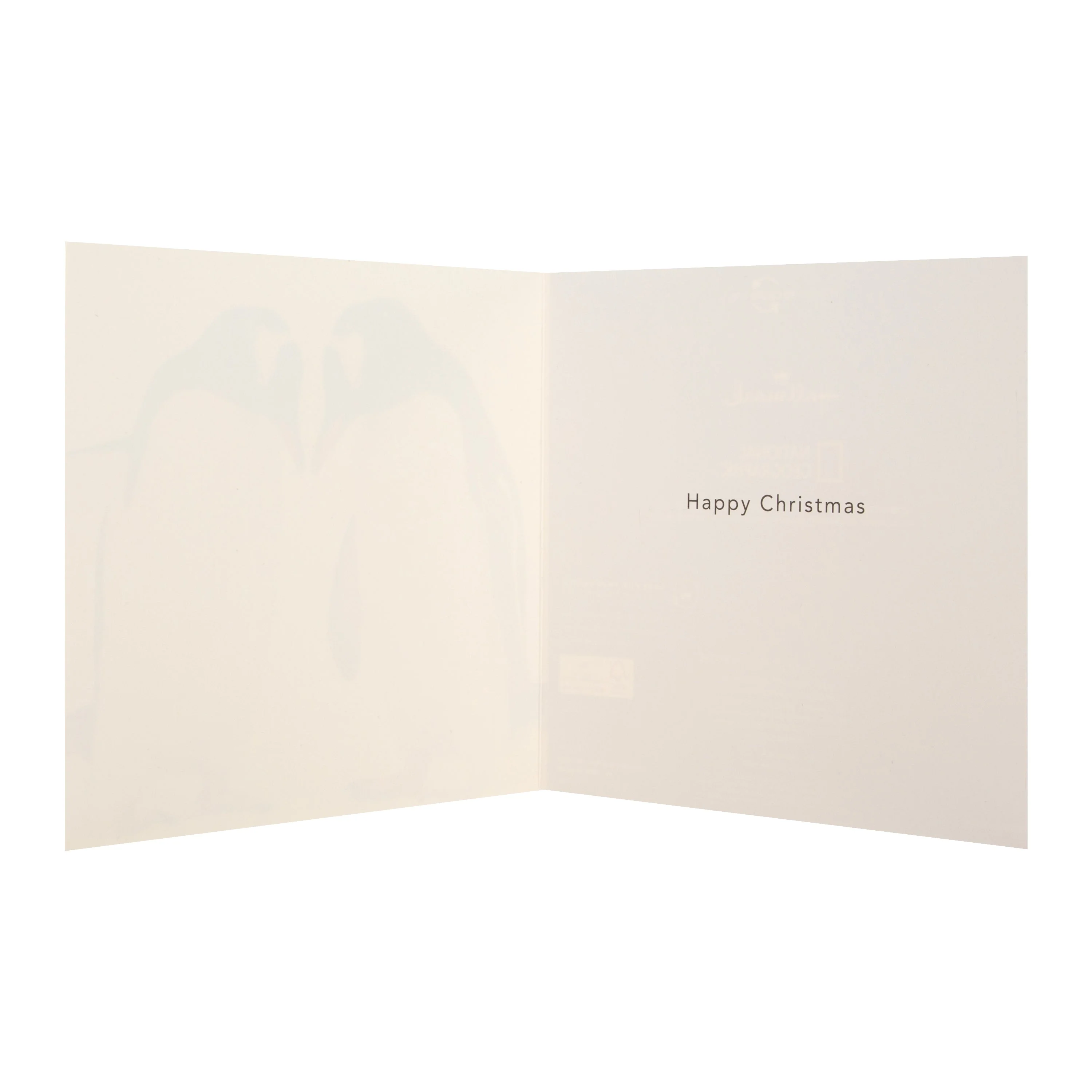 Christmas Cards - Pack of 16 in 2 Bear and Penguin National Geographic Designs - Image 6