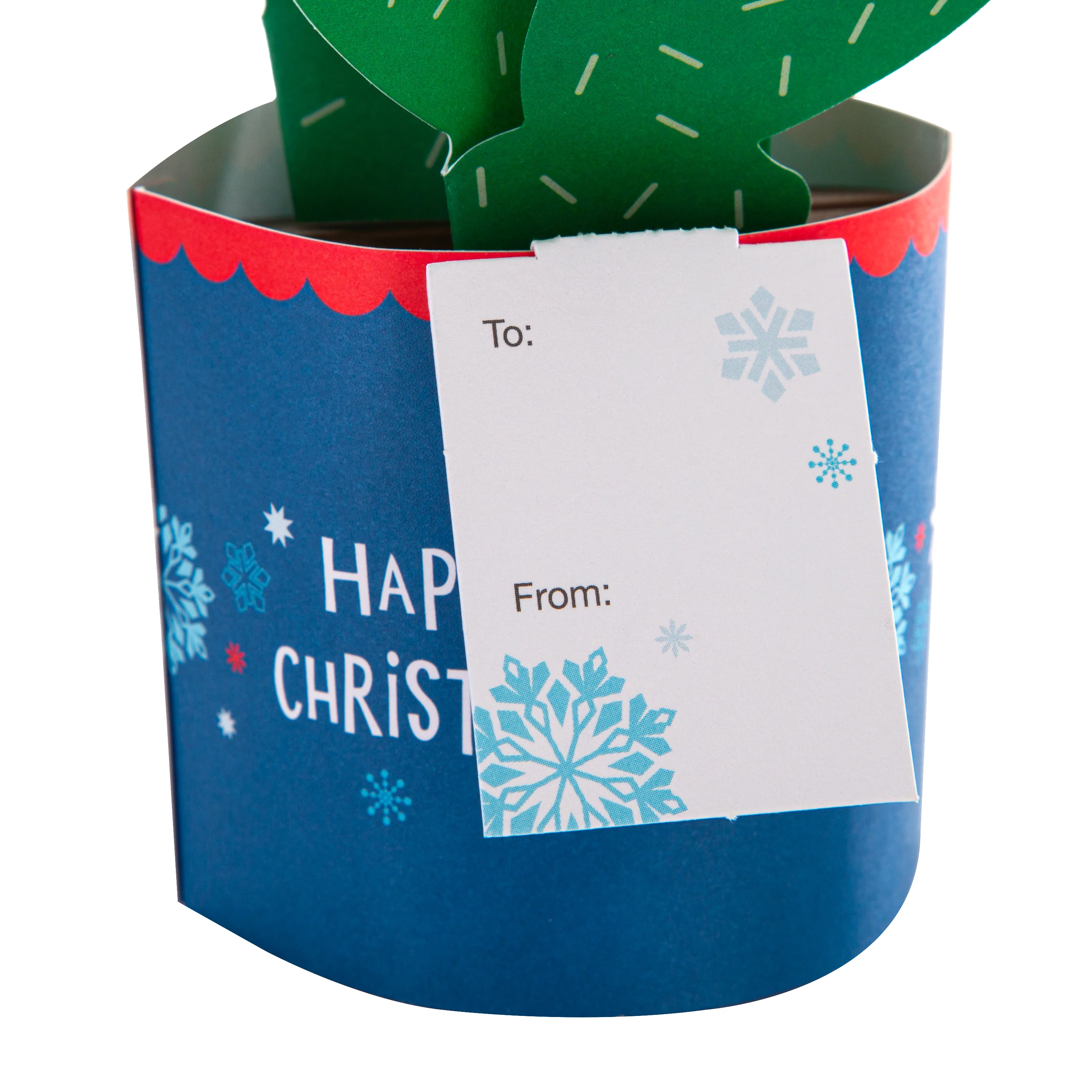 Christmas Paper Wonder Card - 3D Pop Up Cactus Design - Image 4