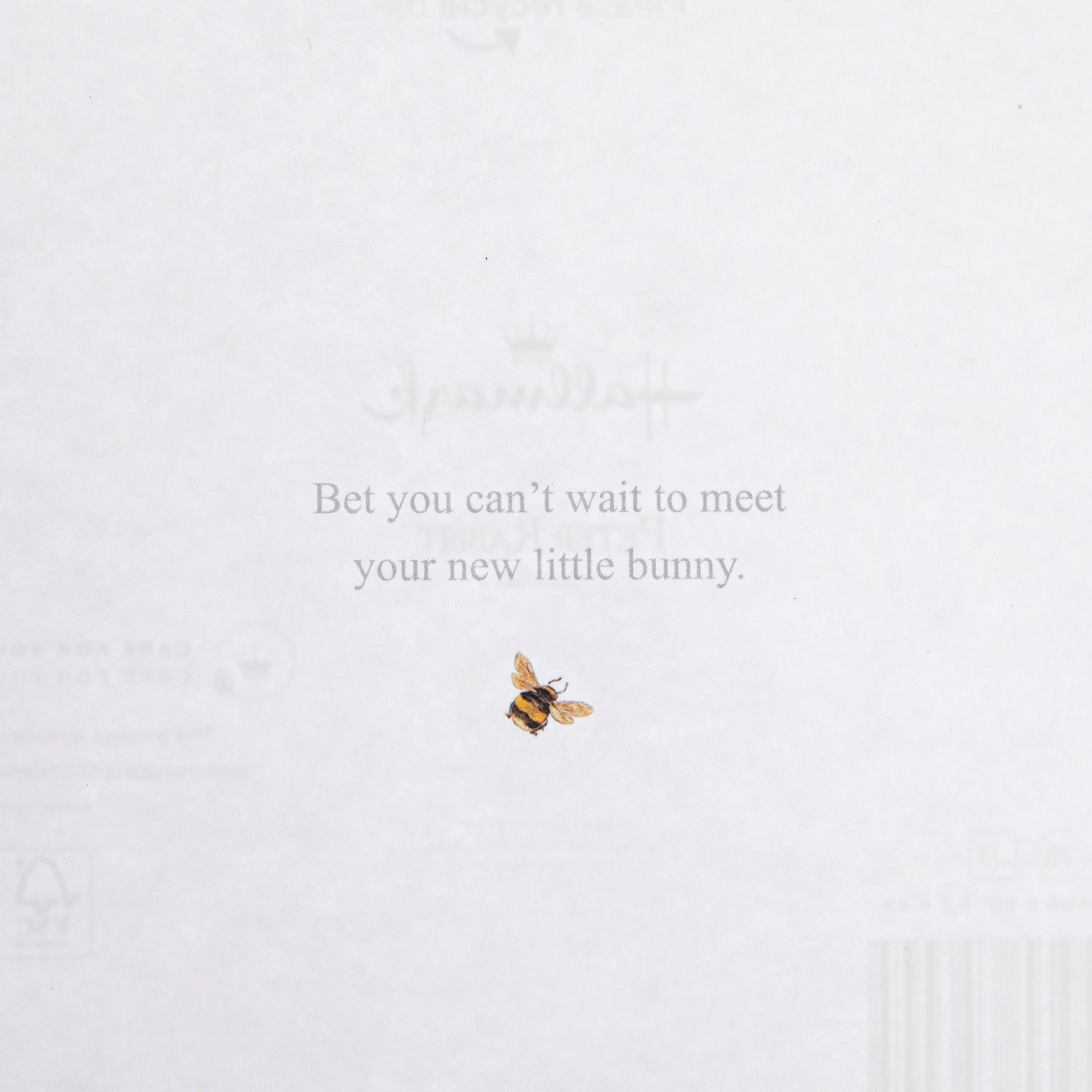 Congratulations Card for Mummy-To-Be - Beatrix Potter Peter Rabbit™ Design - Image 3