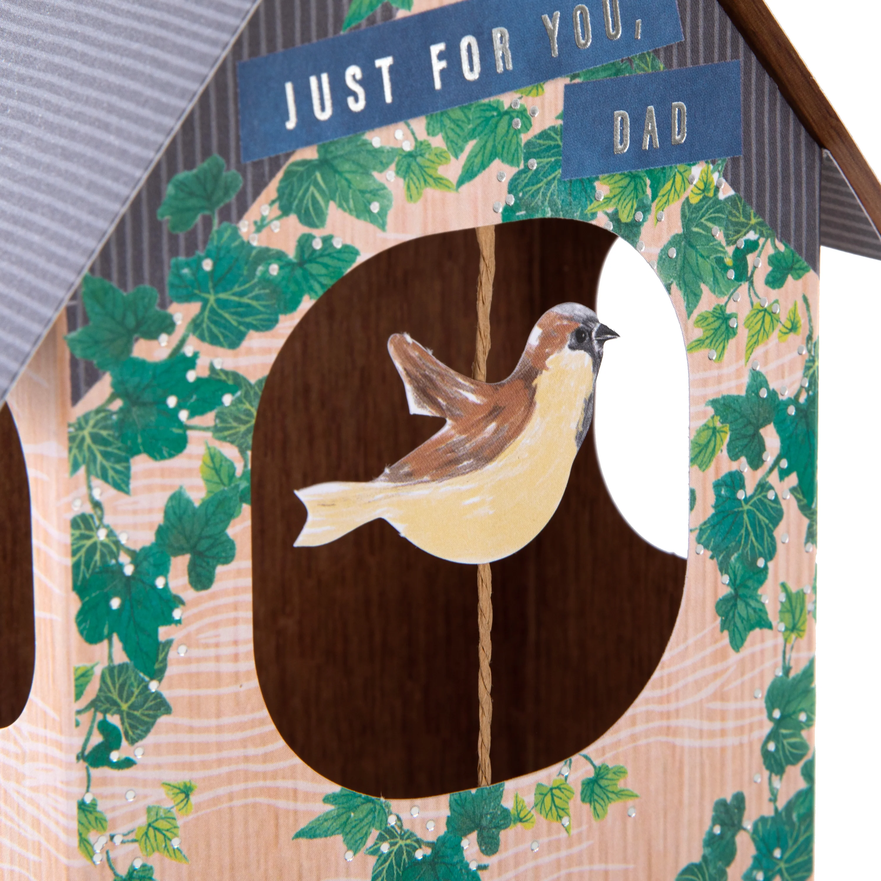 Father's Day Card for Dad - 3D & Pop Up Birdhouse Design - Image 4