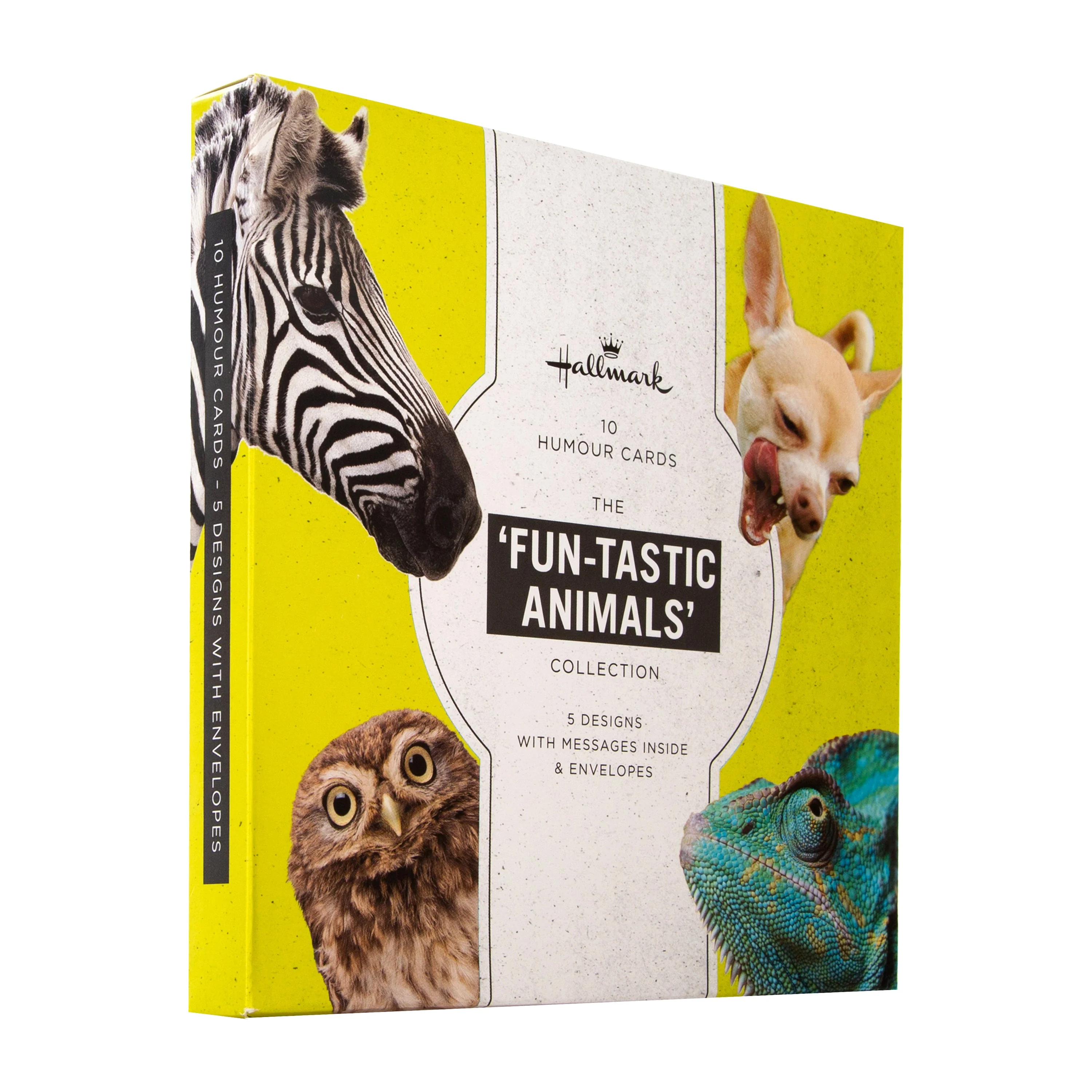 Funny Birthday Cards - Multipack of 10 in 5 Photographic Designs - Image 3