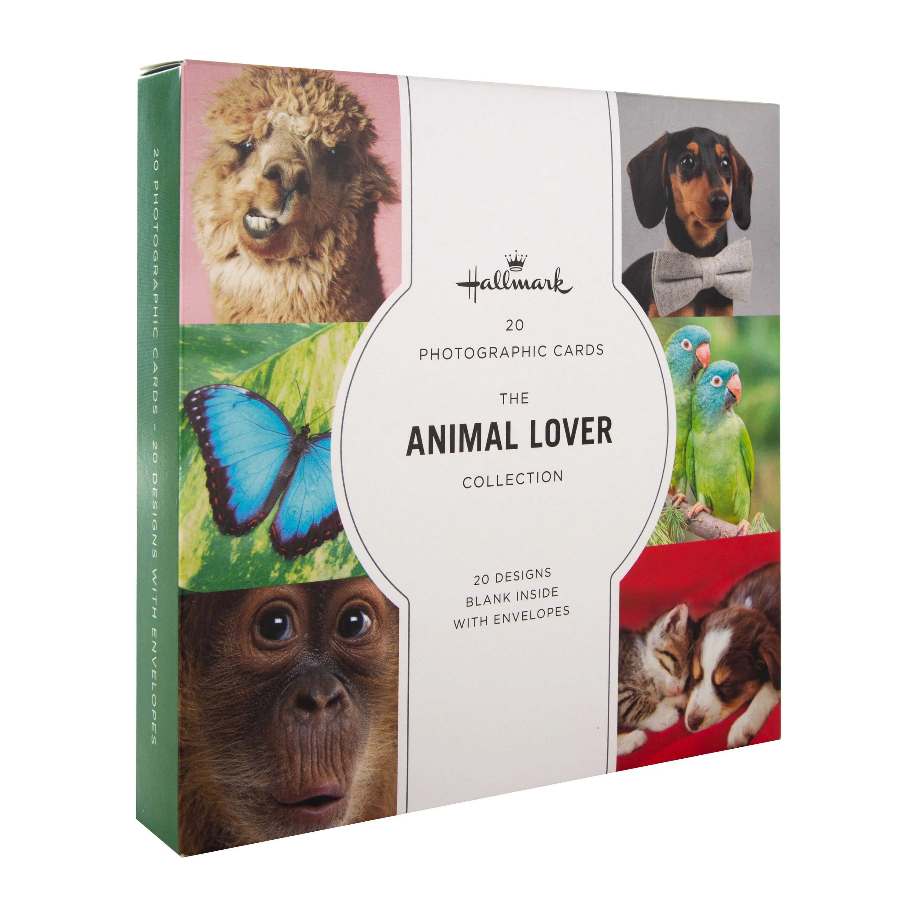 Multipack Any Occasion Cards - 20 Pack Fun Animals Designs - Image 3