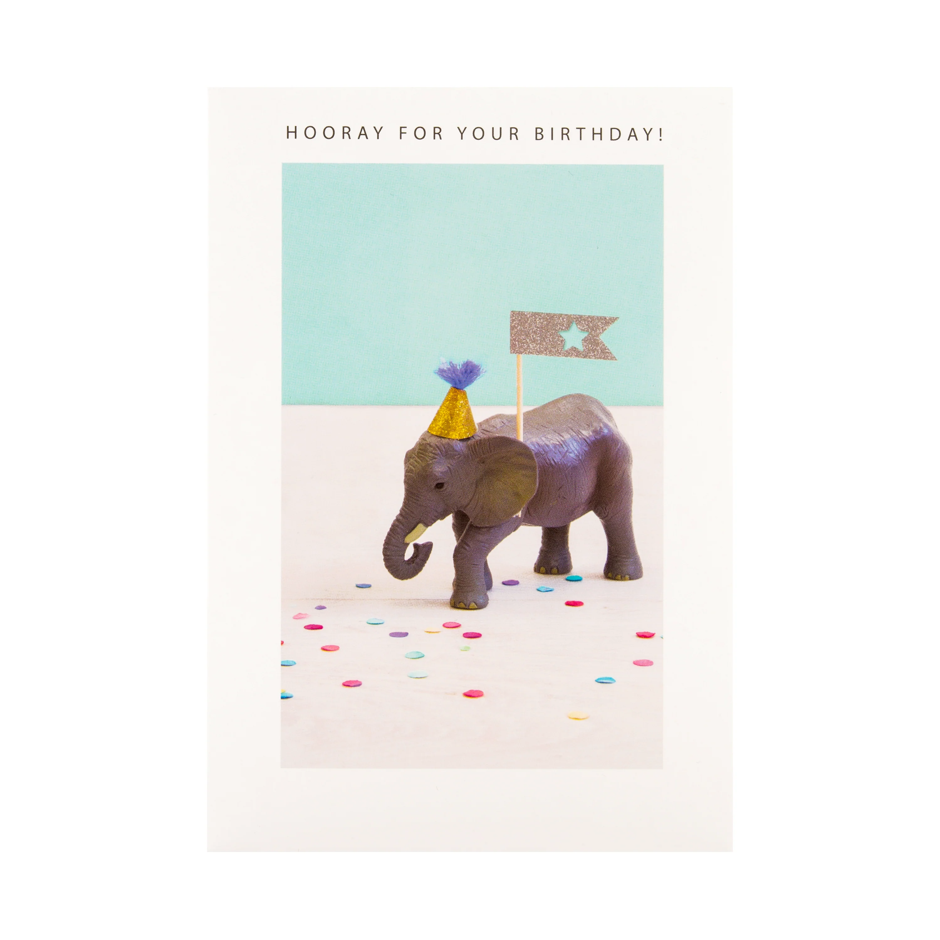 General Birthday Card - Quirky Photographic Design - Image 3