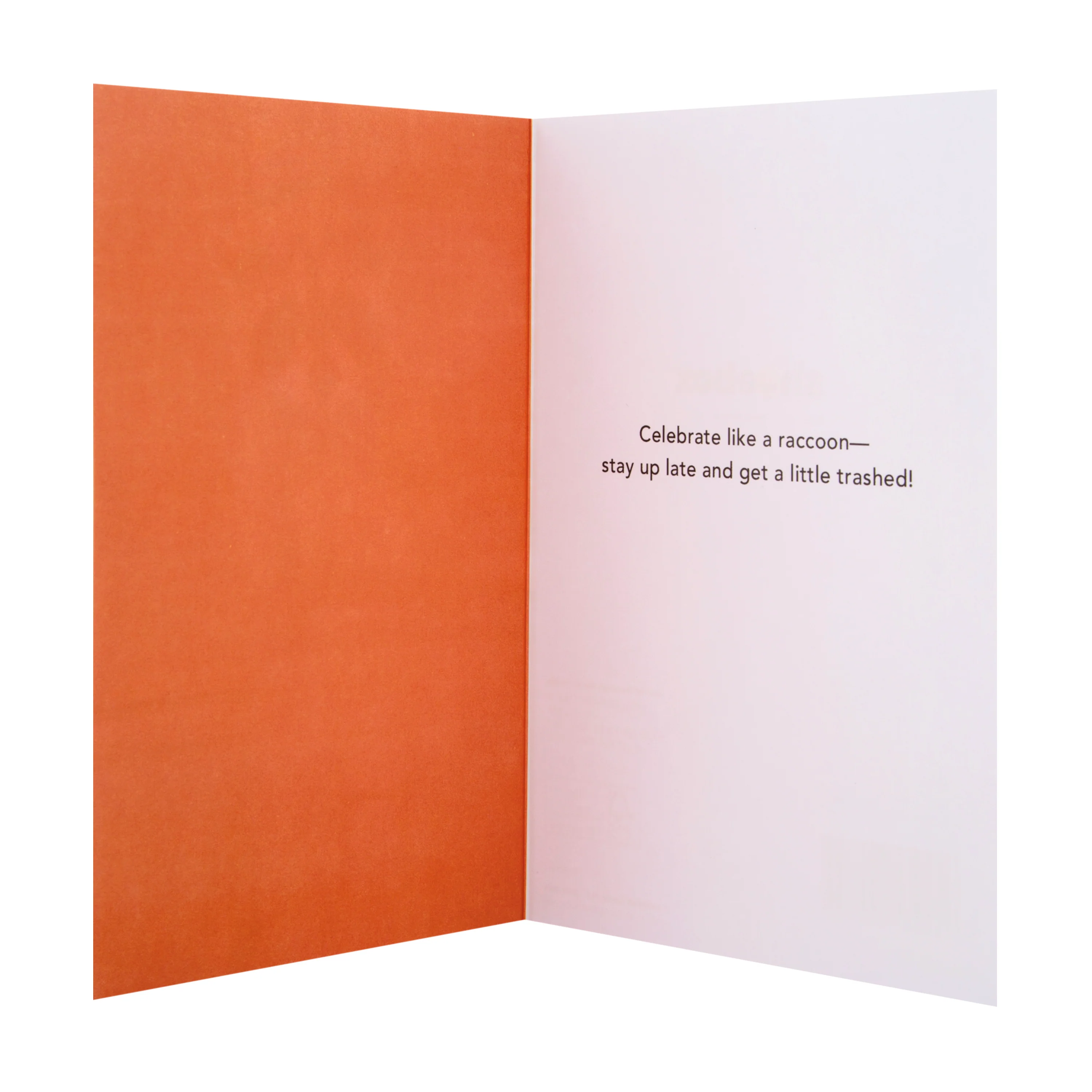 General Birthday Card from The Hallmark Studio - Party Raccoon Design - Image 2