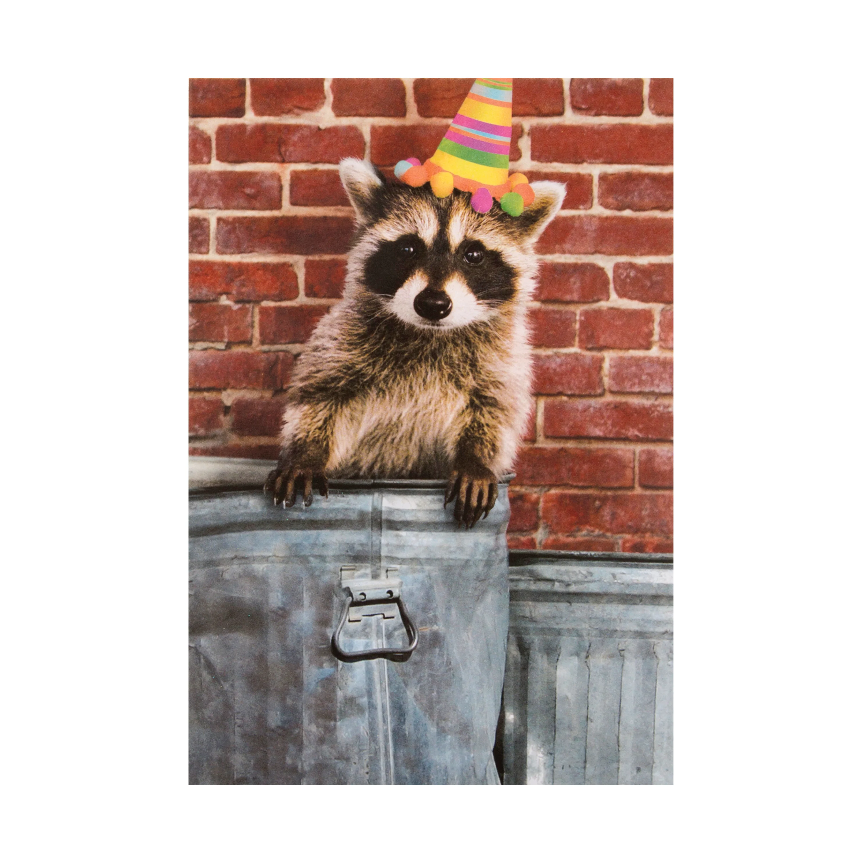 General Birthday Card from The Hallmark Studio - Party Raccoon Design - Image 3