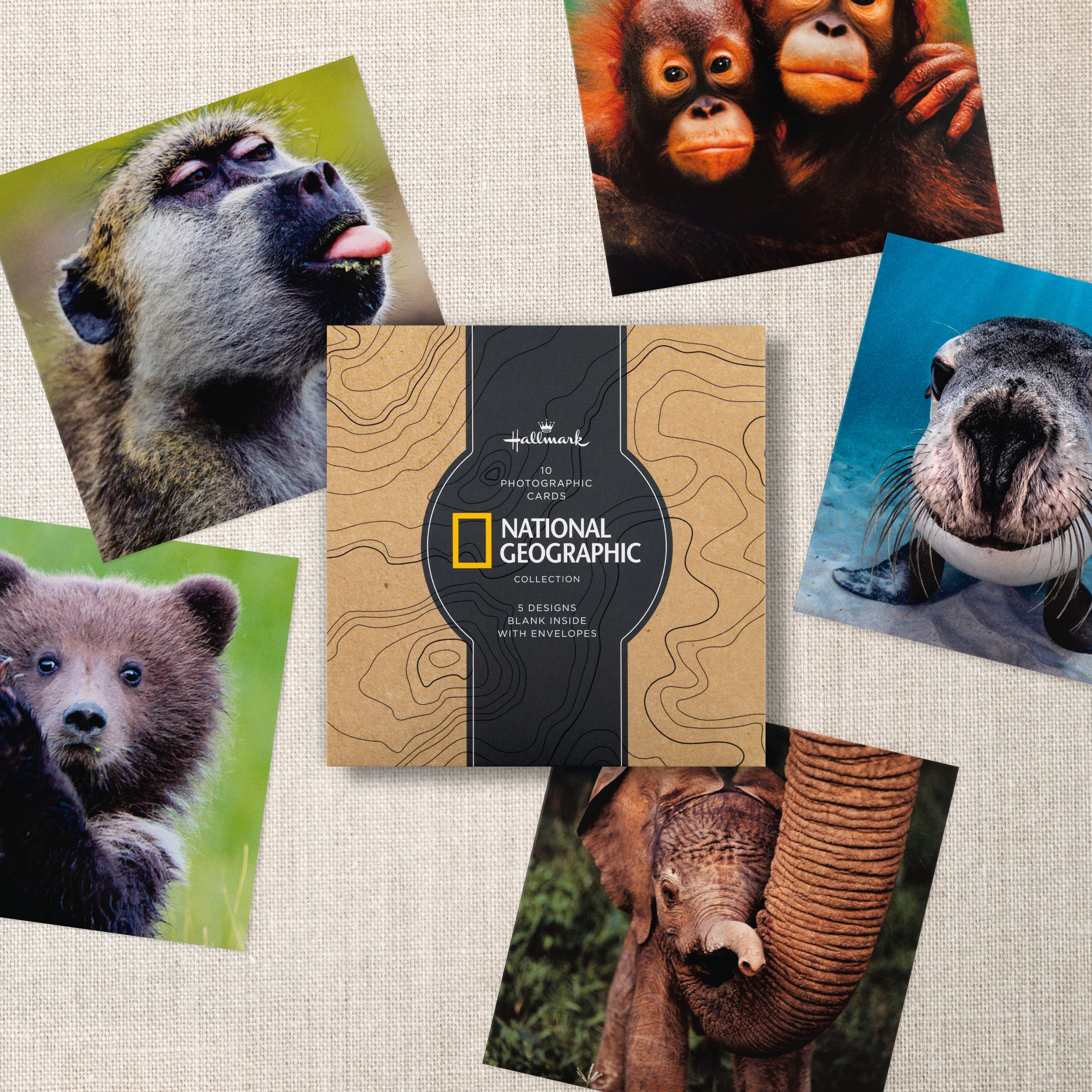 Greeting Cards Multipack - Pack of 10 in 5 National Geographic Animal Designs - Image 2