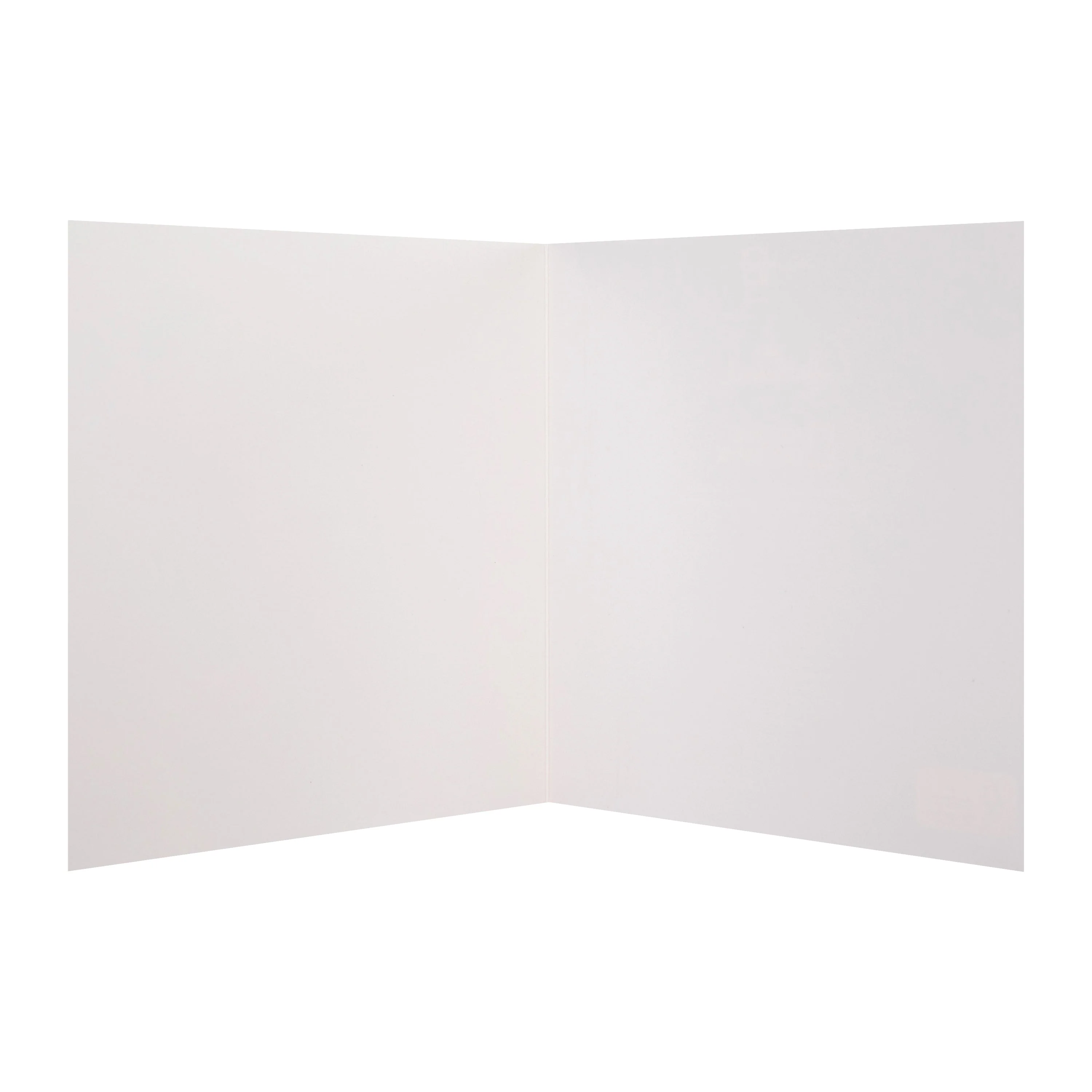 Greeting Cards Multipack - Pack of 10 in 5 National Geographic Animal Designs - Image 6