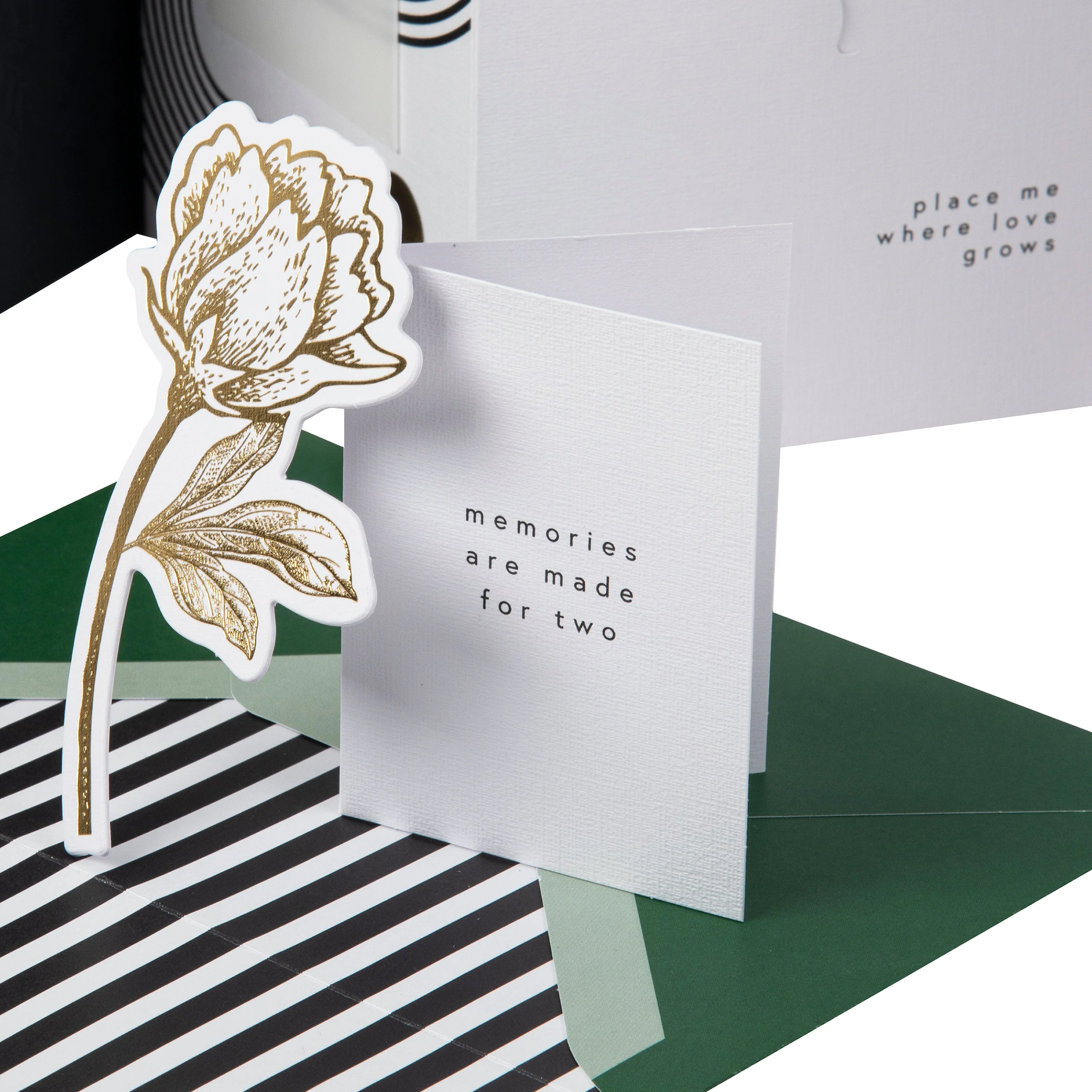 Hall & Co Premium Love Card with Mini Card, Keepsake & Print - Memento Luxe - Image 5