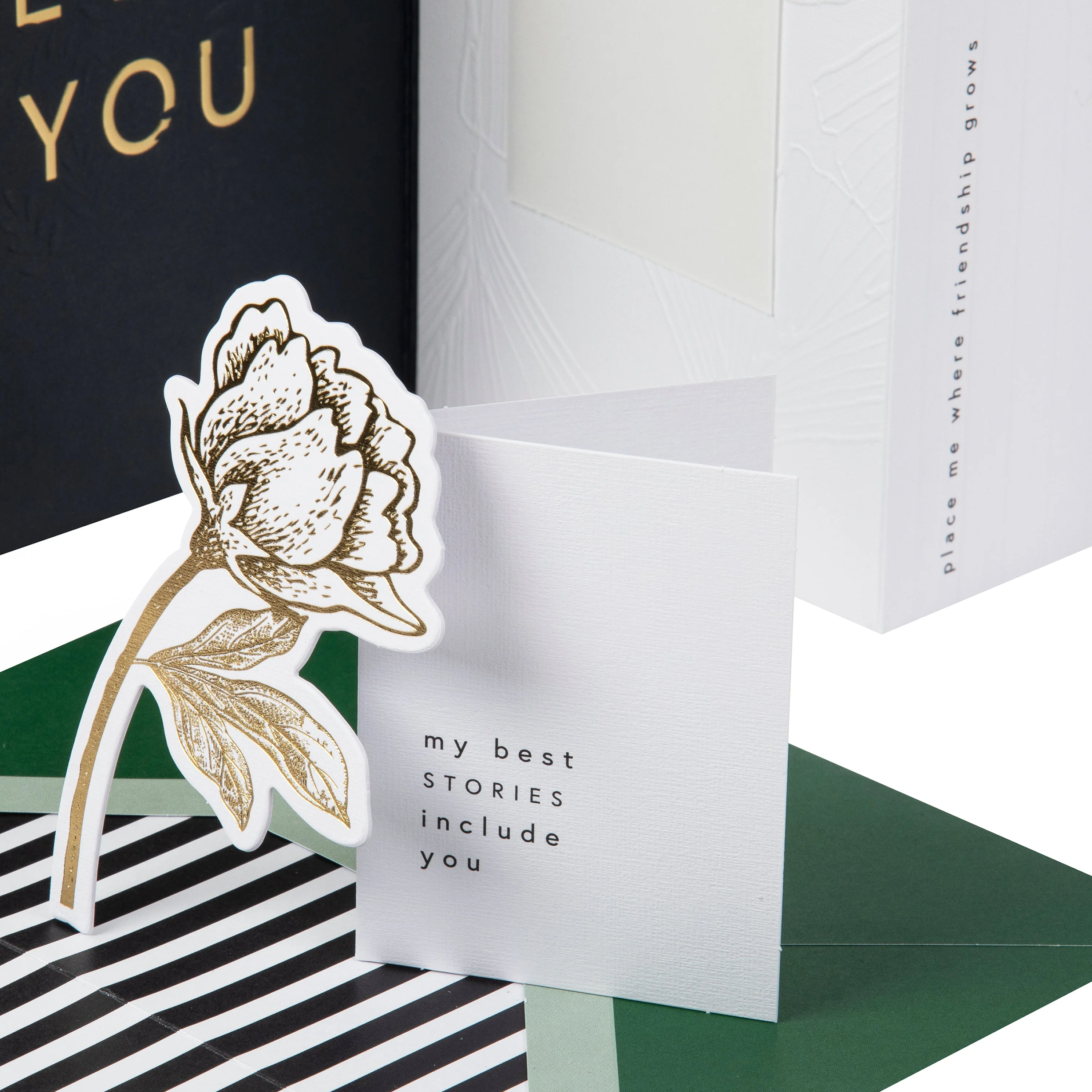 Hall & Co Premium Thank You Card for Friend with Mini Card, Keepsake & Print - Memento Luxe - Image 5