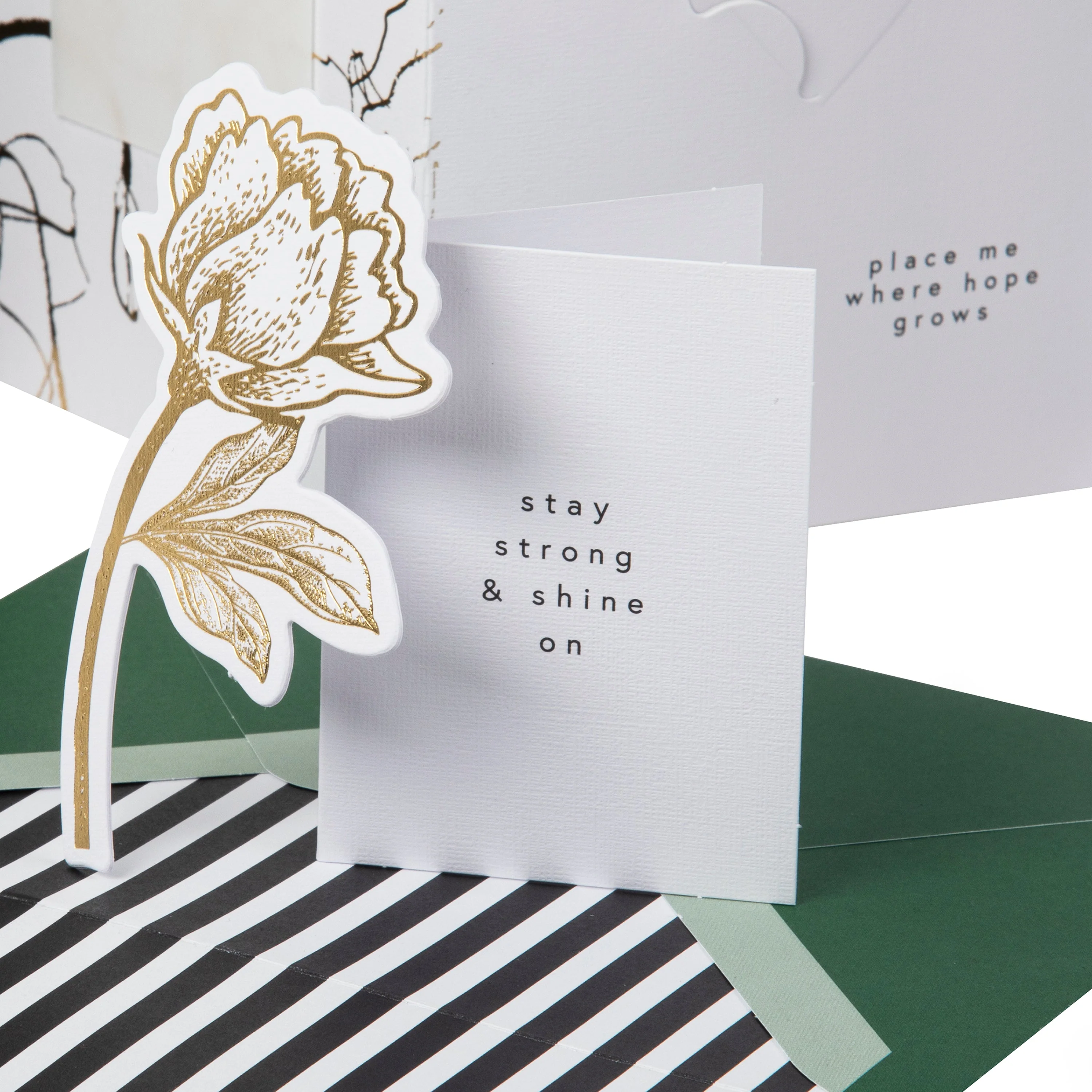 Hall & Co Premium Thinking of You Card with Mini Card, Keepsake & Print - Memento Luxe - Image 5