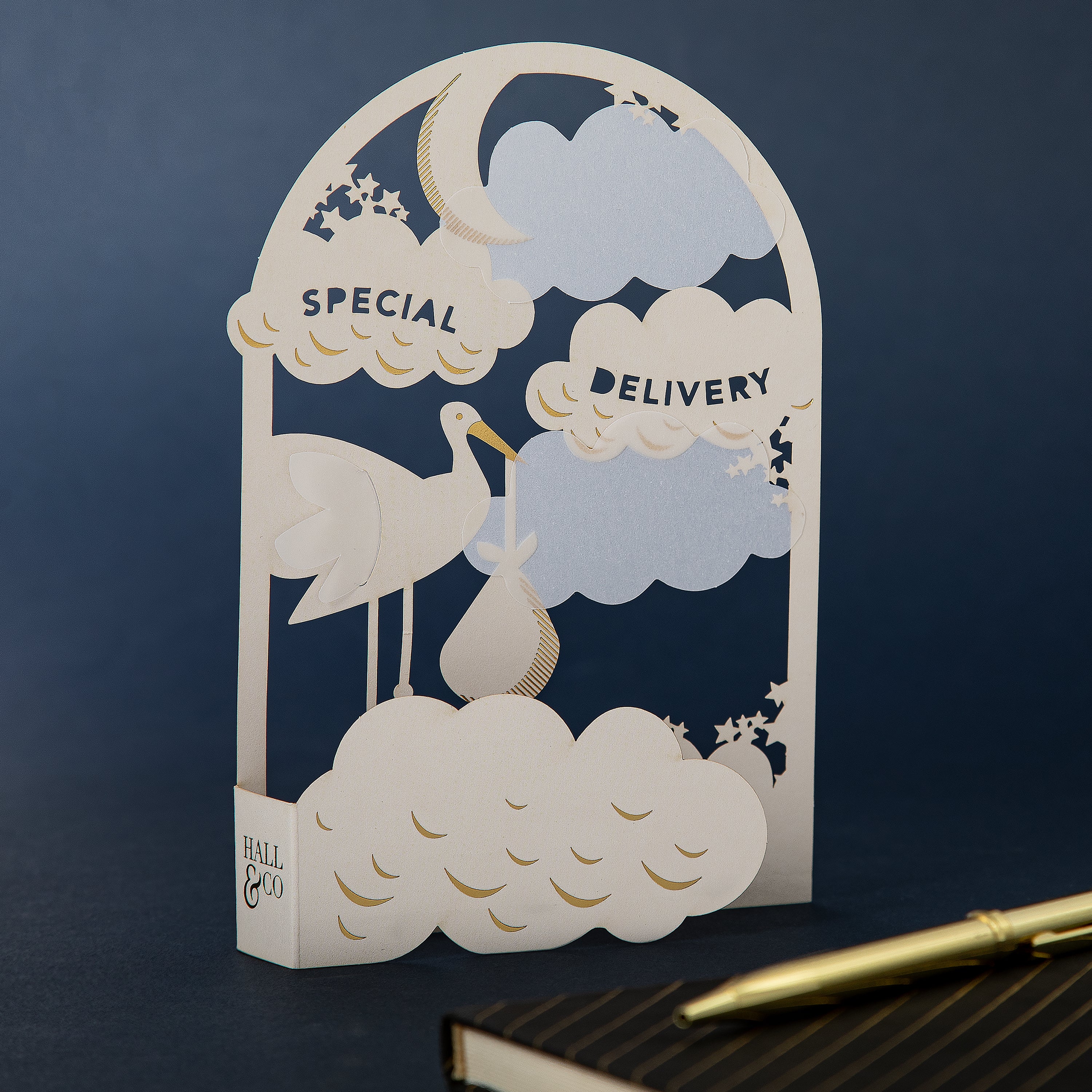 Hall & Co Premium 3D 'Special Delivery' New Baby Card - Paper Fables