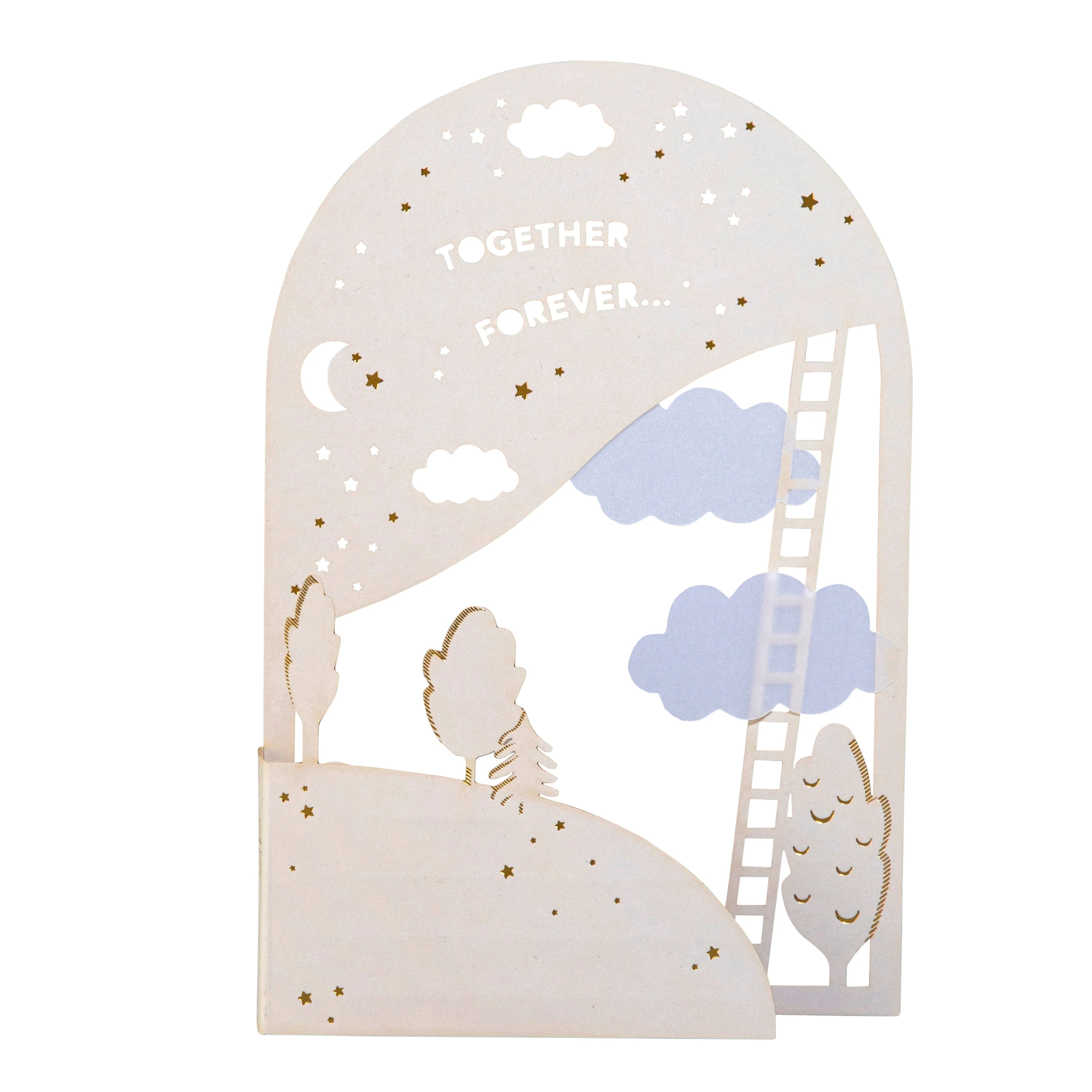 Hall & Co Premium 3D 'Together Forever' Love Card - Paper Fables - Image 4