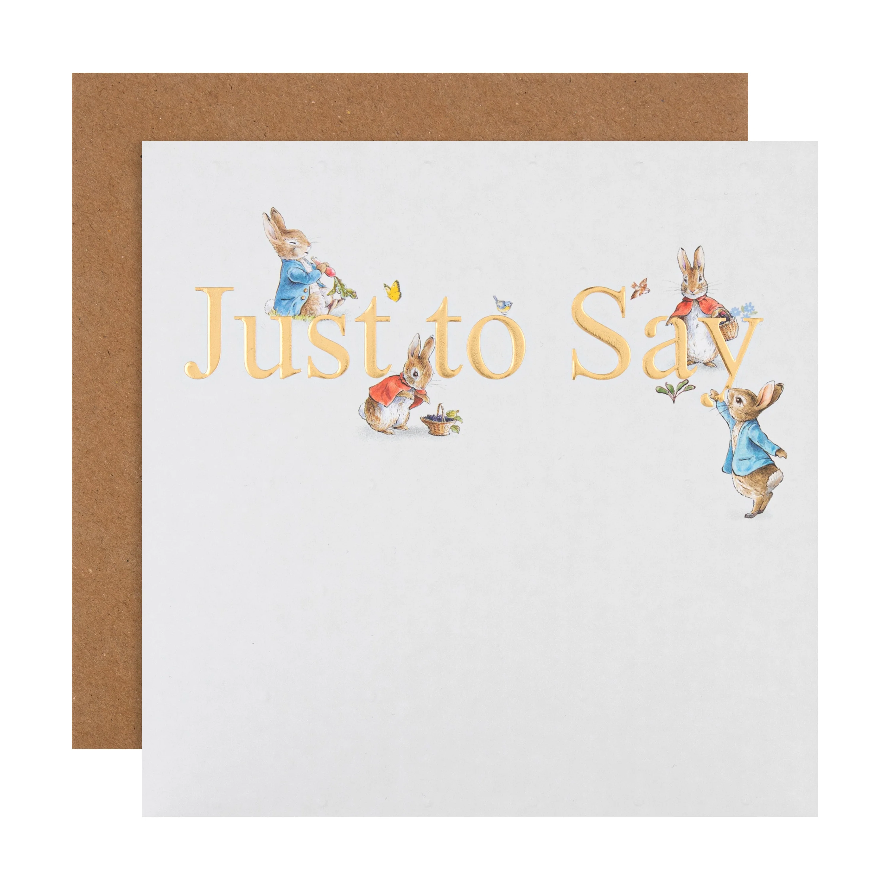 Just to Say Card - Beatrix Potter's Peter Rabbit™ & Flopsy Bunny Design