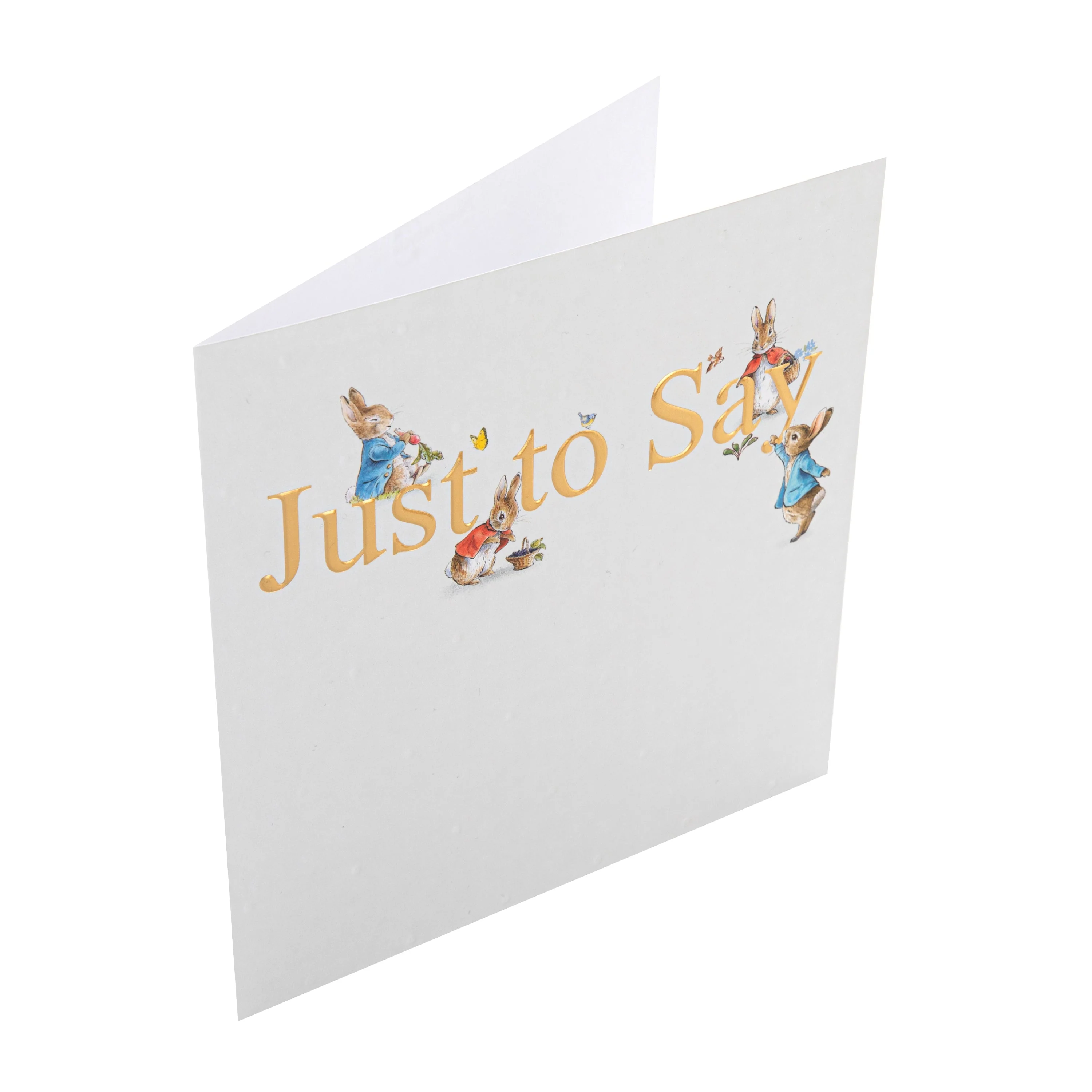 Just to Say Card - Beatrix Potter's Peter Rabbit™ & Flopsy Bunny Design - Image 5